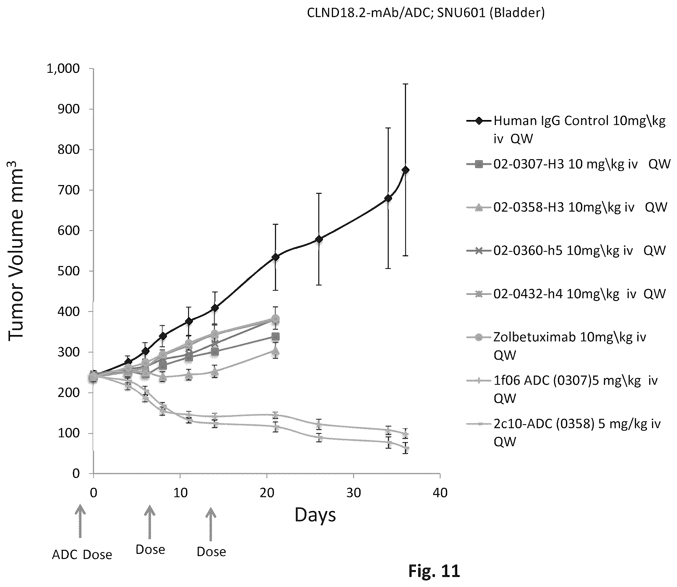 Patent US12345709 Figure 14 – CLAUDIN18 antibodies and methods of treating cancer
