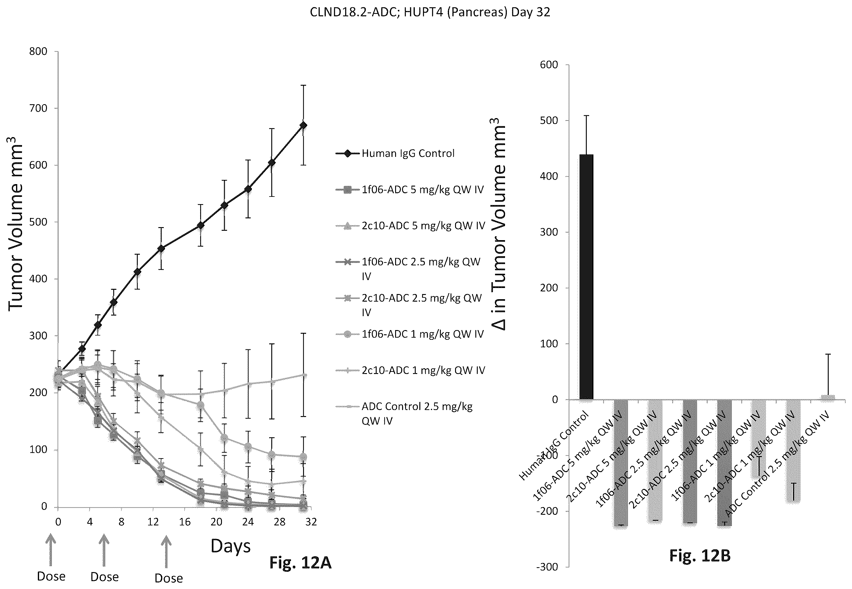 Patent US12345709 Figure 15 – CLAUDIN18 antibodies and methods of treating cancer