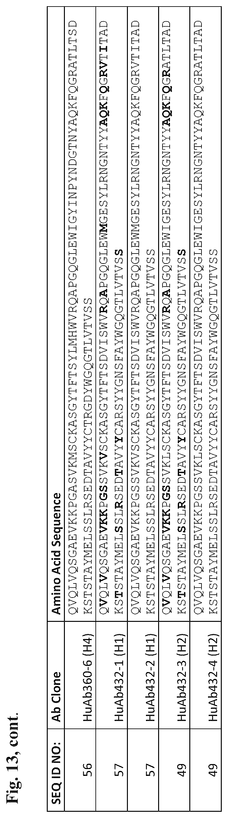 Patent US12345709 Figure 20 – CLAUDIN18 antibodies and methods of treating cancer
