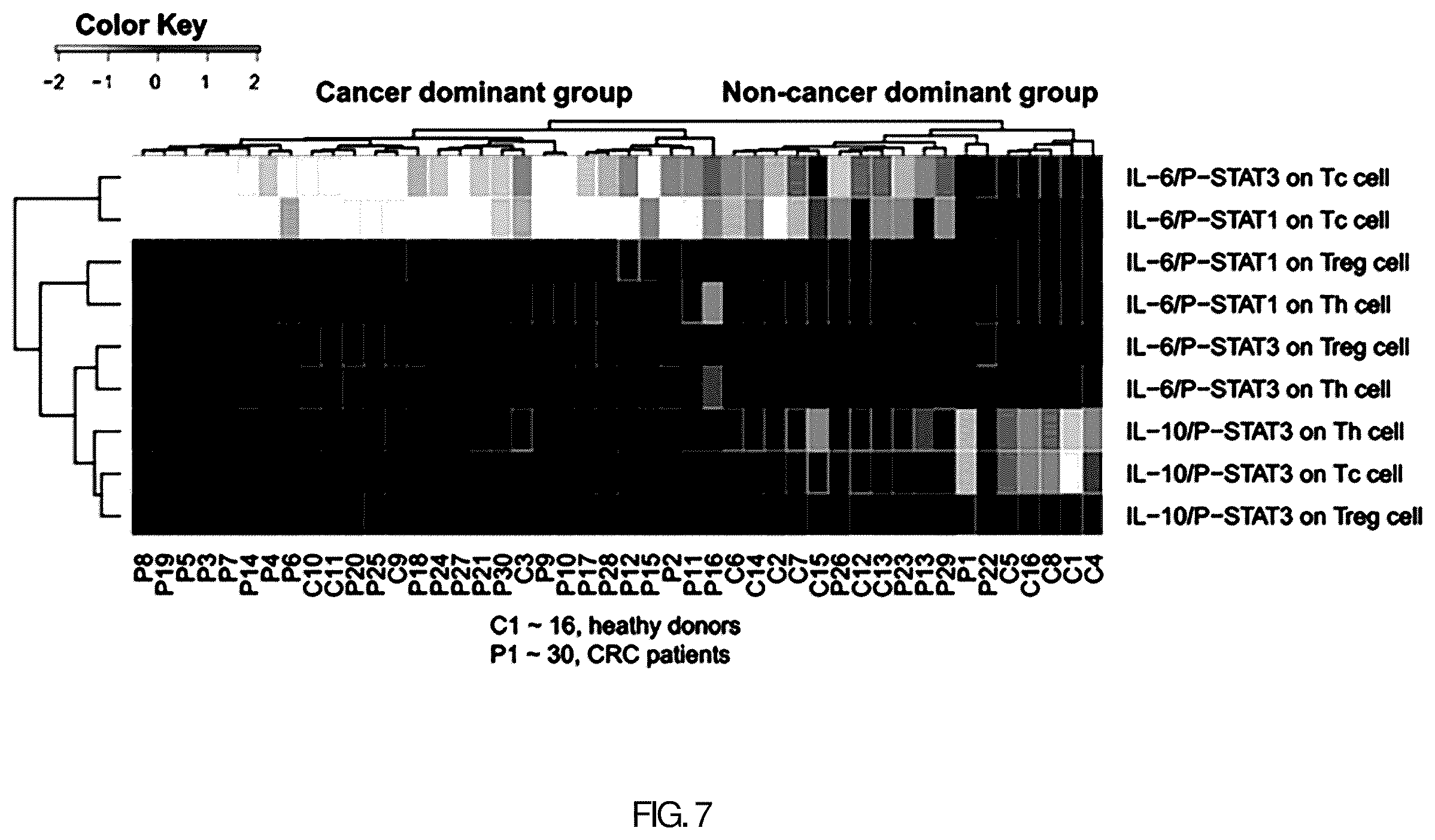 Patent US12345710 Figure 7 – Marker for diagnosing colorectal cancer and method for providing information required for diagnosis of colorectal cancer