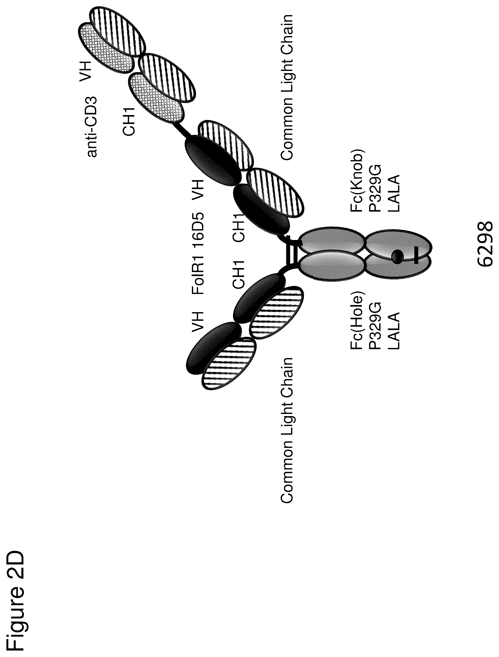 Patent US12345711 Figure 5 – Methods to determine antibody activity in tumor samples