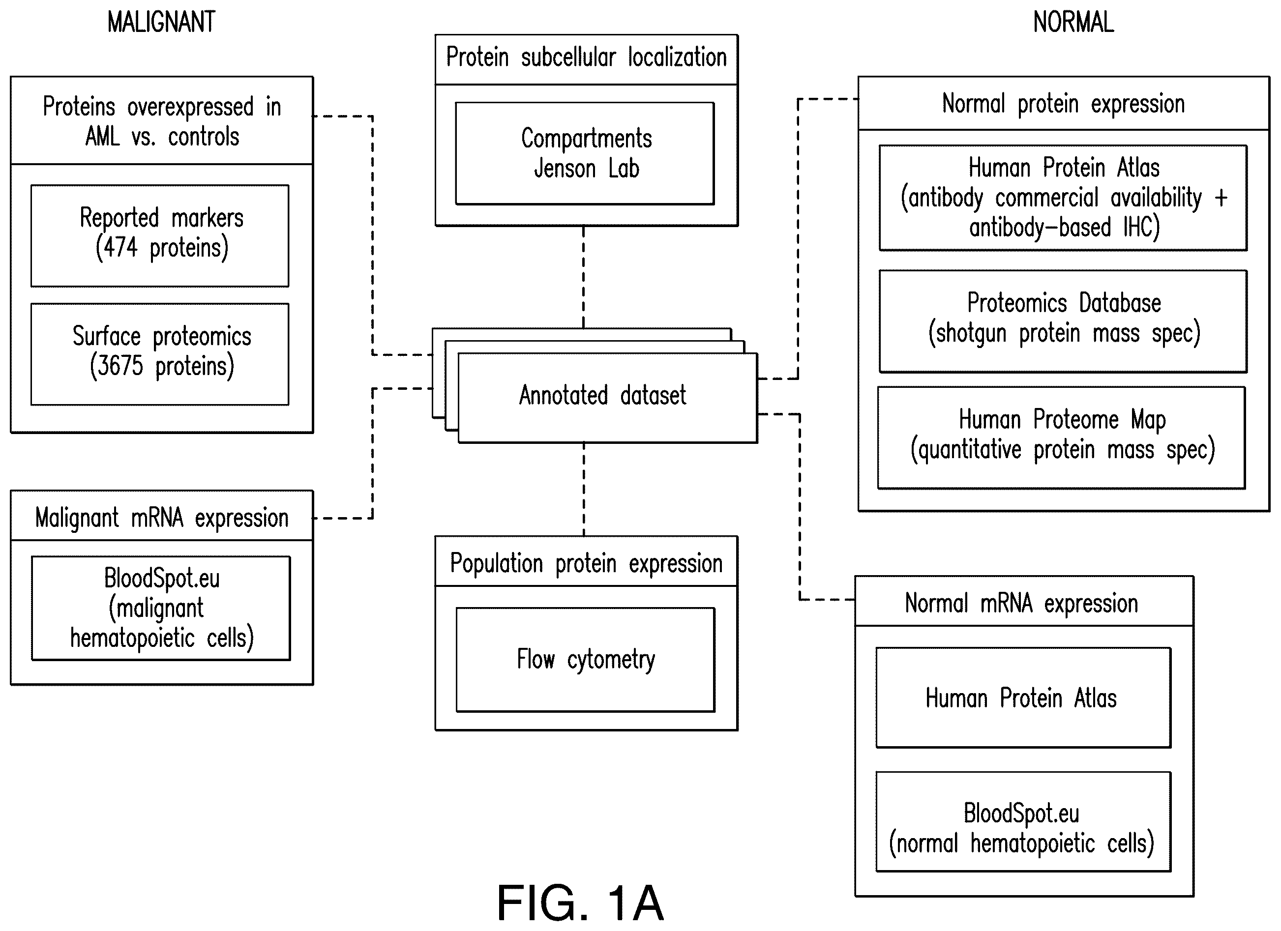 Patent US12345712 Figure 1 – Cancer antigen targets and uses thereof
