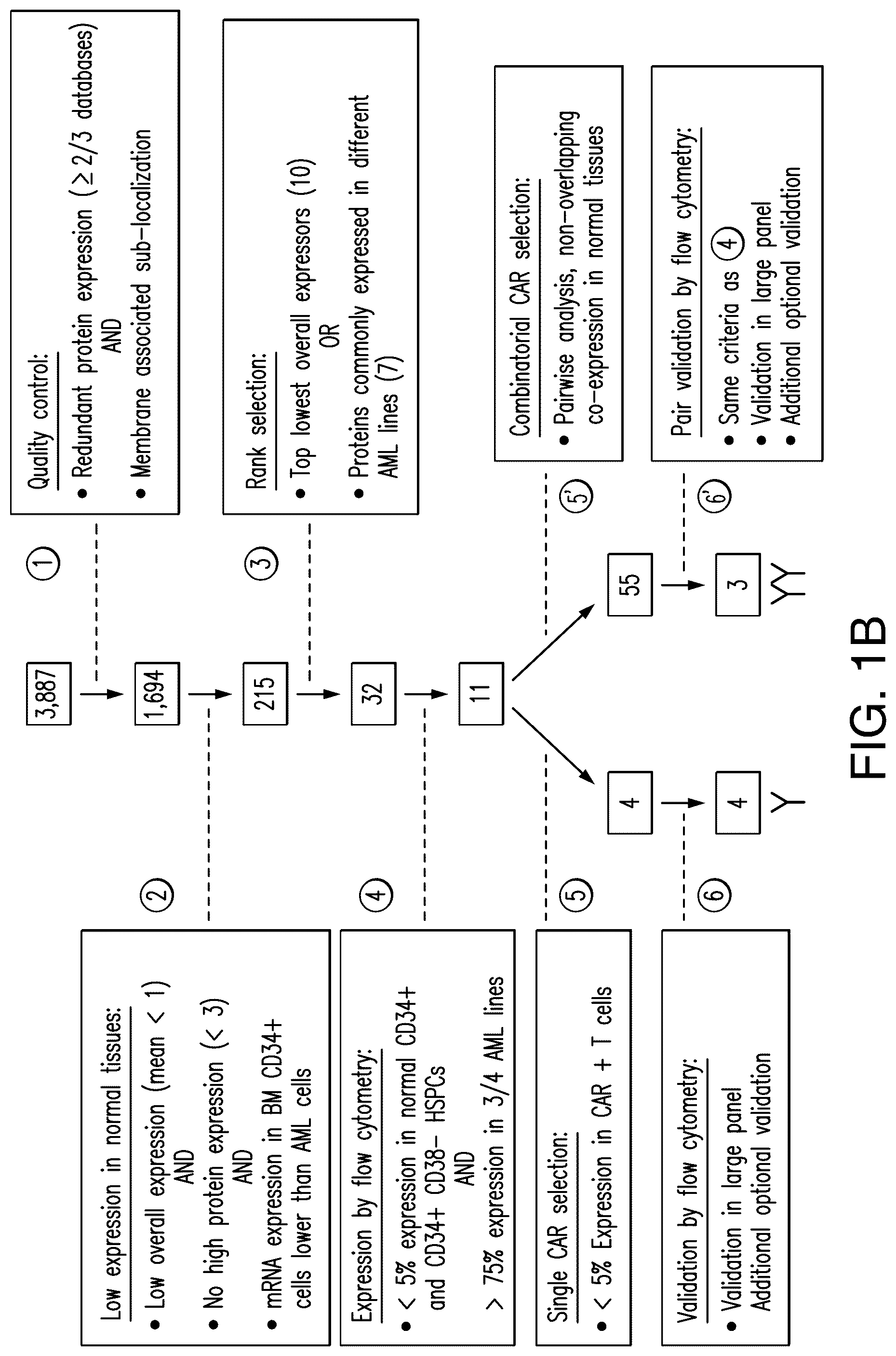Patent US12345712 Figure 2 – Cancer antigen targets and uses thereof