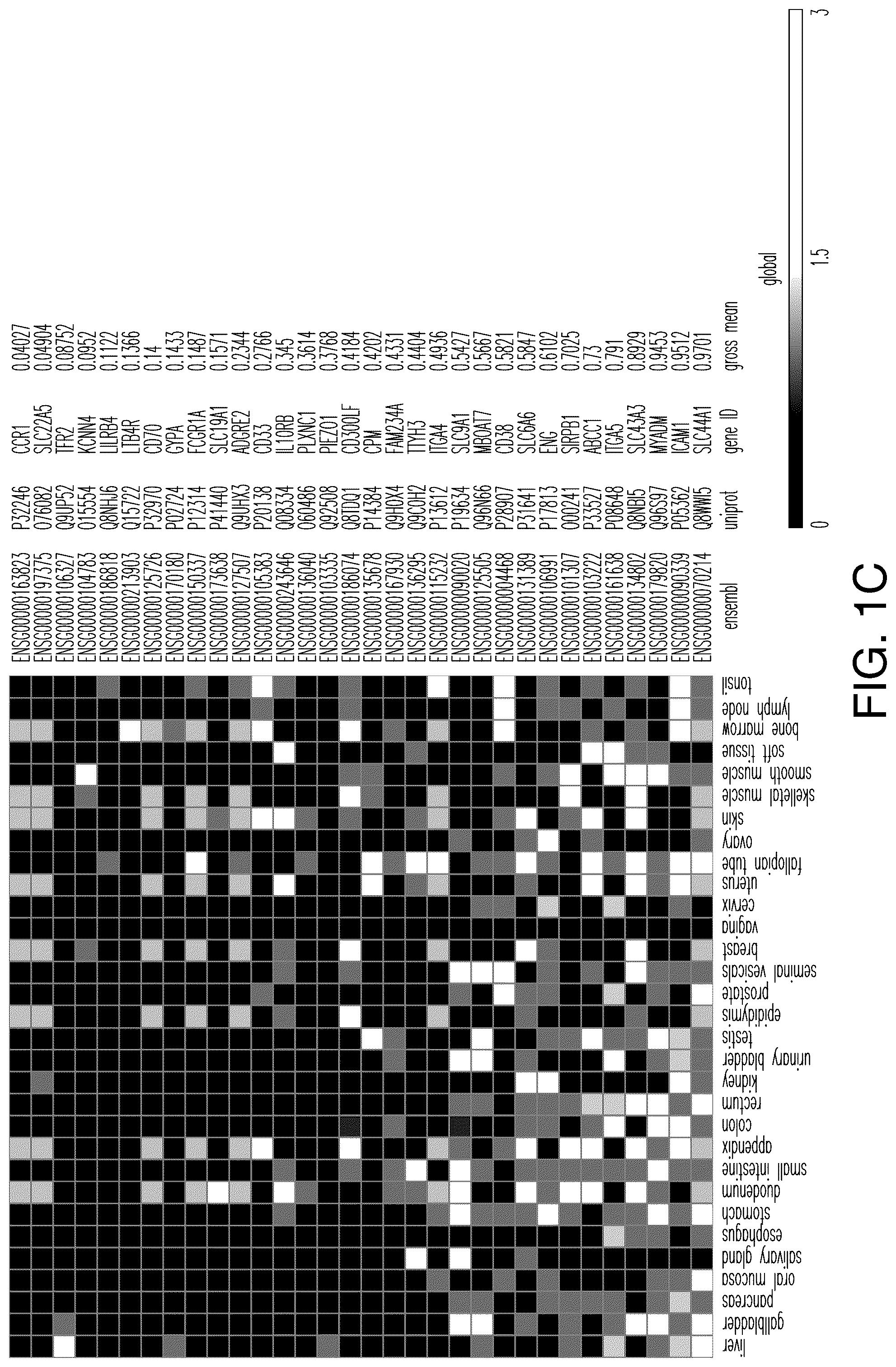 Patent US12345712 Figure 3 – Cancer antigen targets and uses thereof