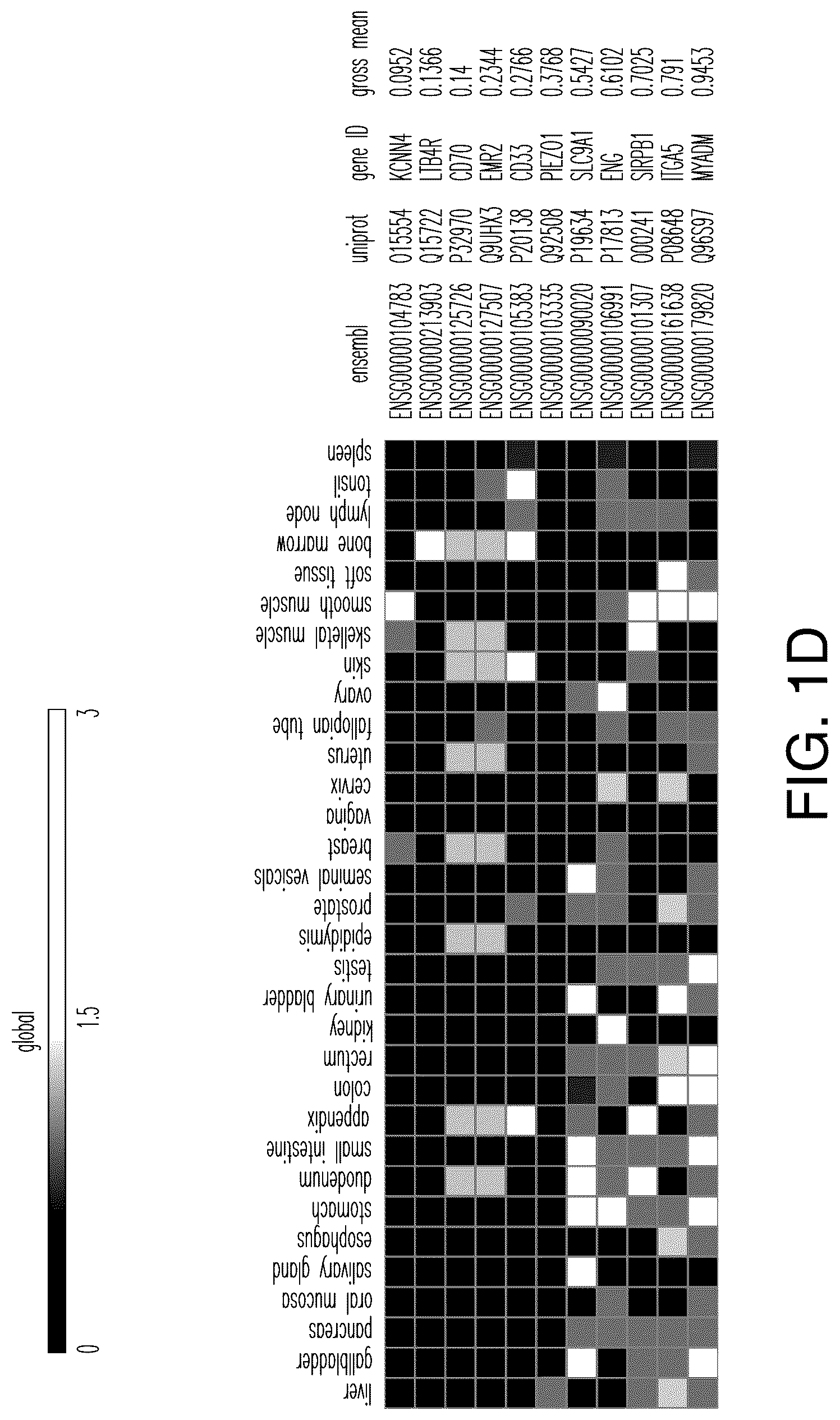 Patent US12345712 Figure 5 – Cancer antigen targets and uses thereof