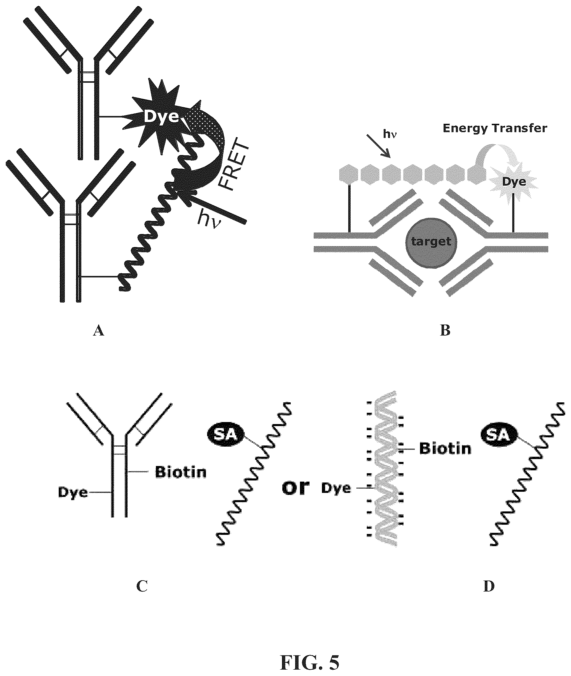 Patent US12345713 Figure 4 – Reagents for directed biomarker signal amplification