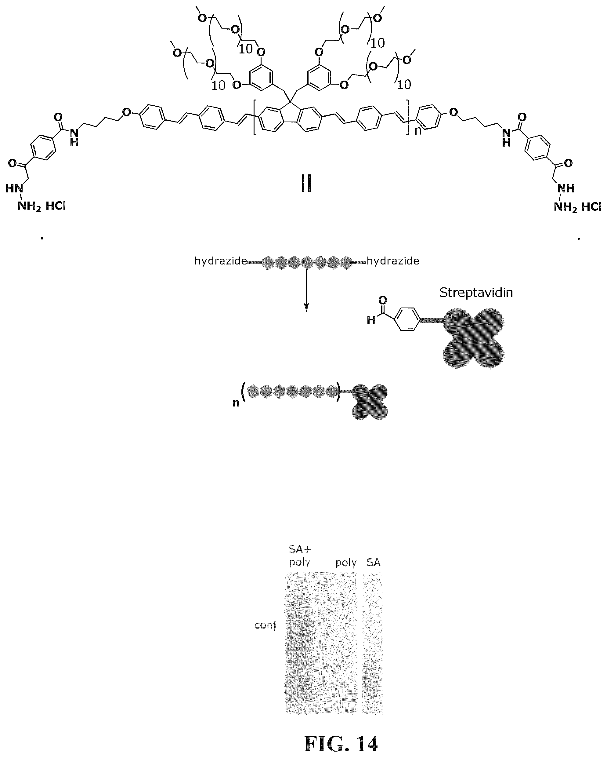 Patent US12345713 Figure 12 – Reagents for directed biomarker signal amplification