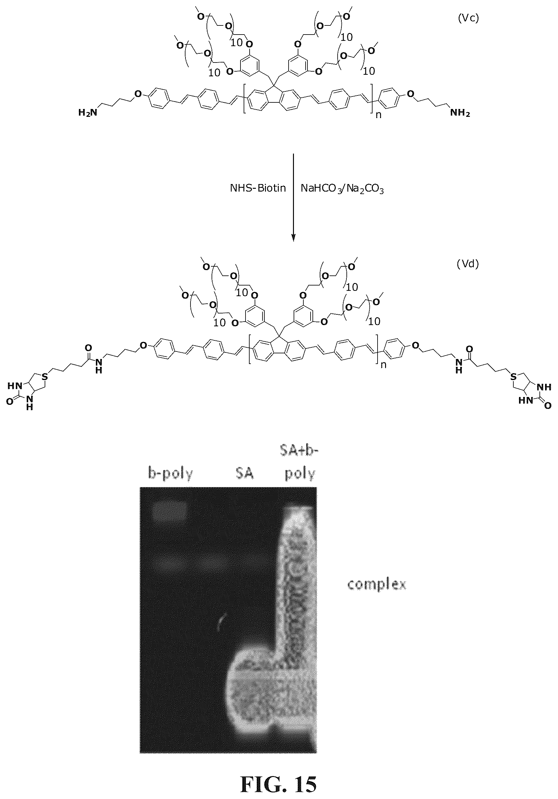 Patent US12345713 Figure 13 – Reagents for directed biomarker signal amplification