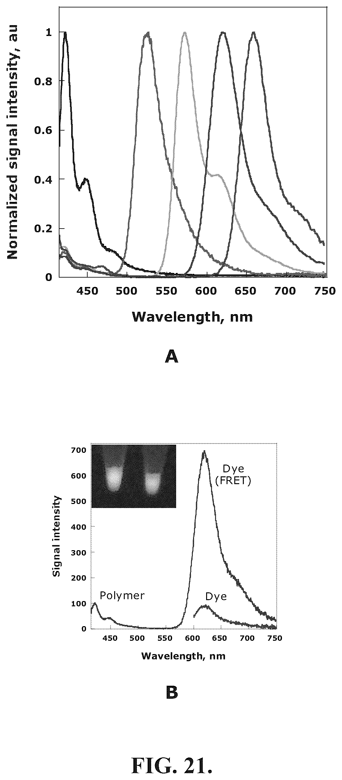 Patent US12345713 Figure 19 – Reagents for directed biomarker signal amplification