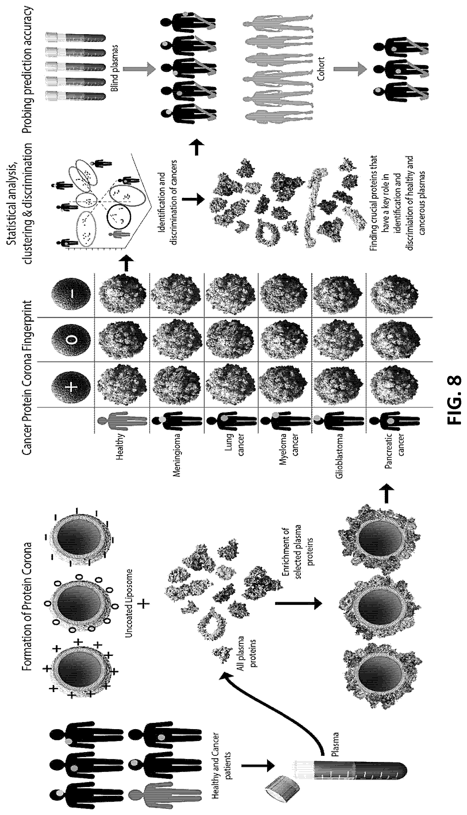 Patent US12345715 Figure 8 – Systems and methods for sample preparation, data generation, and protein corona analysis