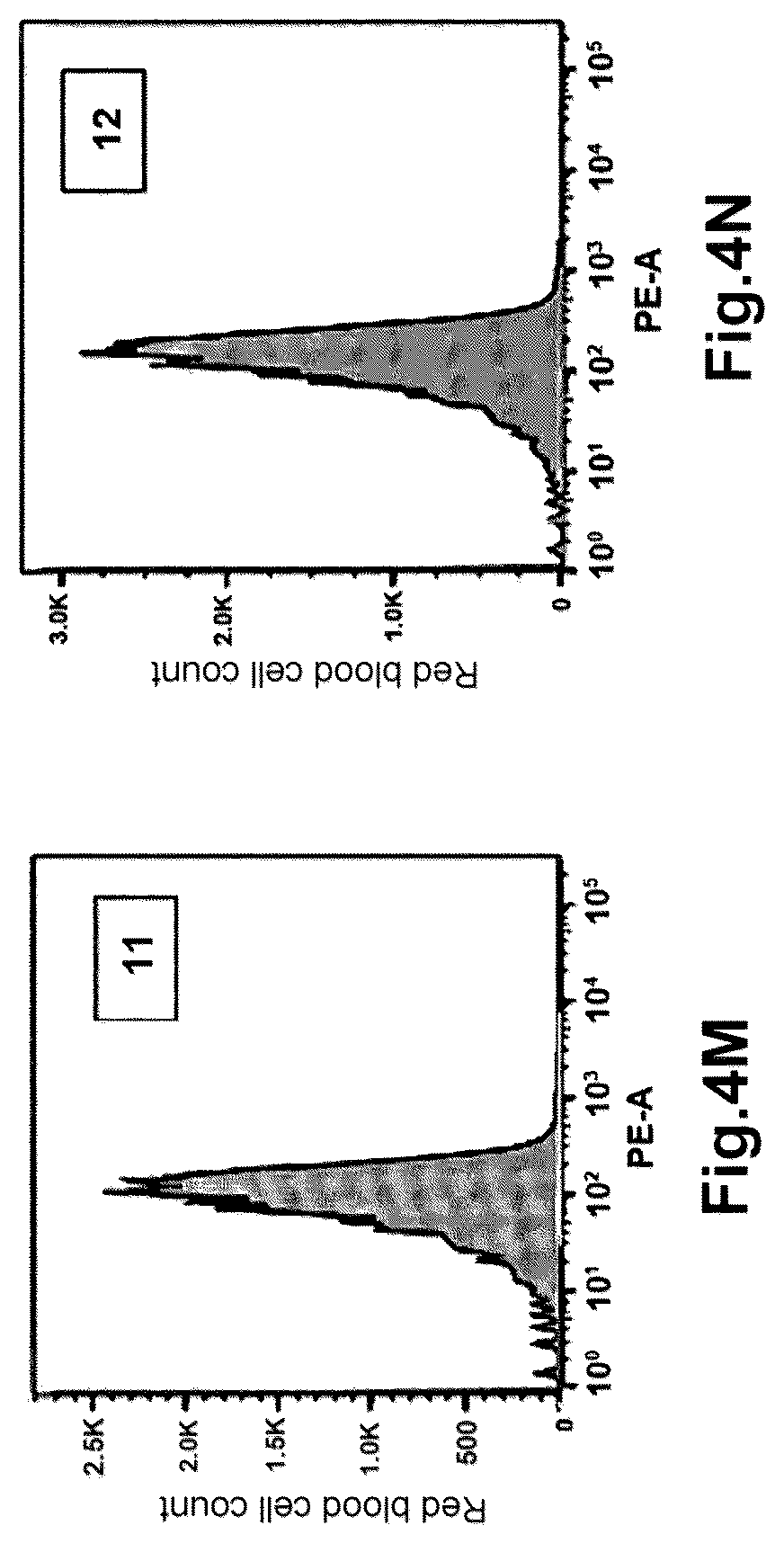 Patent US12345718 Figure 6 – Method for determining the haemoglobin content of an erythroid cell