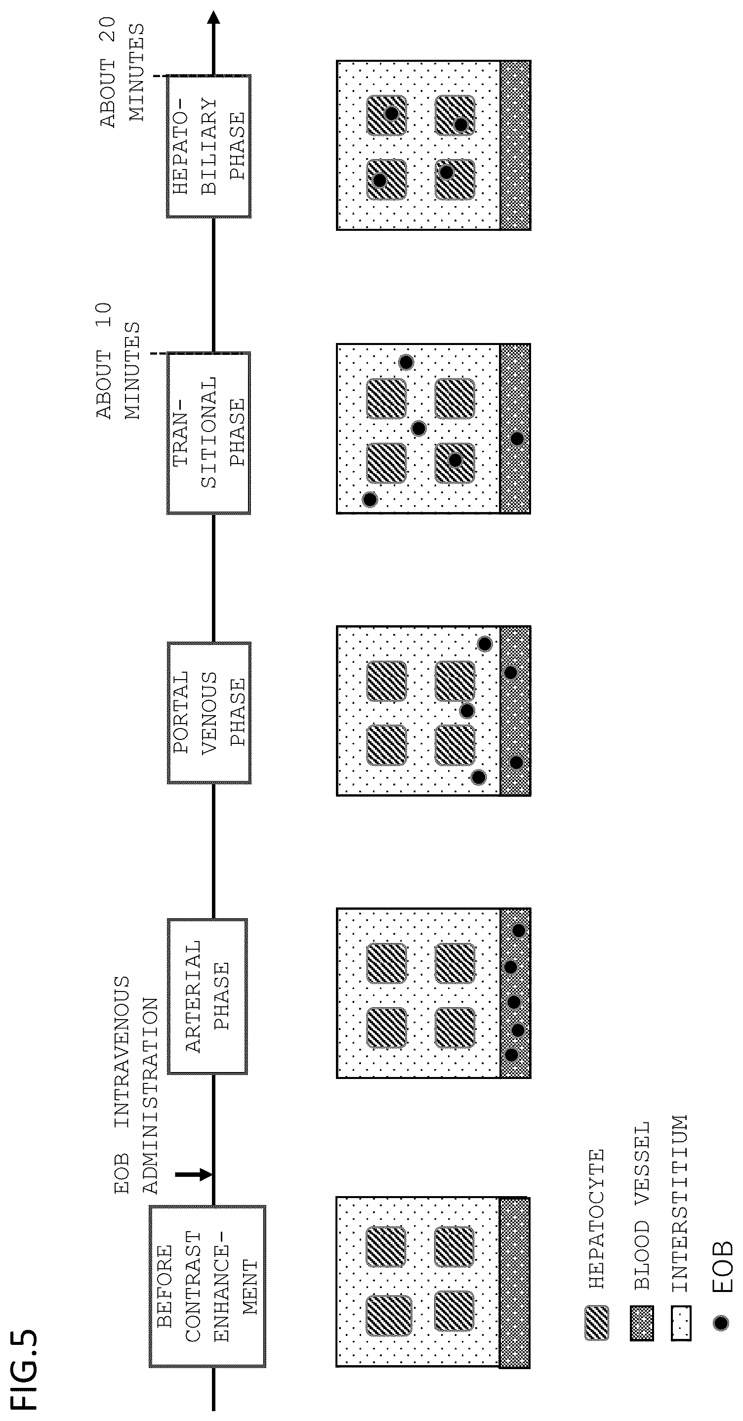 Patent US12345787 Figure 5 – Magnetic resonance imaging apparatus and control method thereof