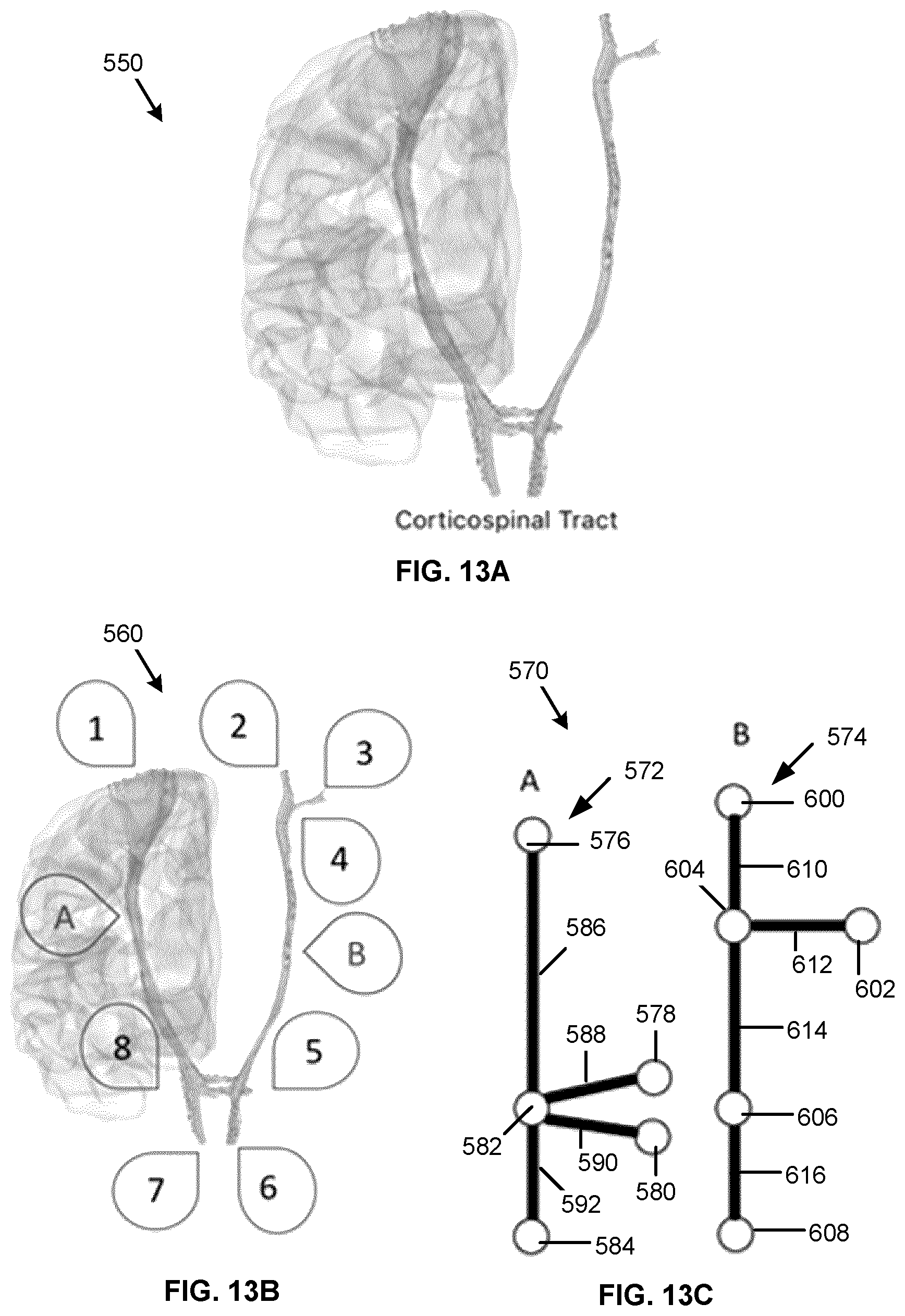 Patent US12345792 Figure 16 – Apparatus and method for representing organized tissue and constructing configurable phantoms of same