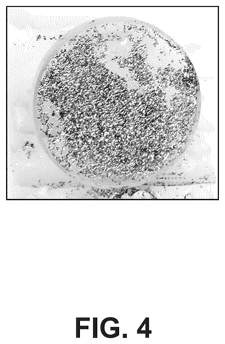 Patent US12345851 Figure 4 – Corrosion-resistant coatings for IR-transmitting substrates