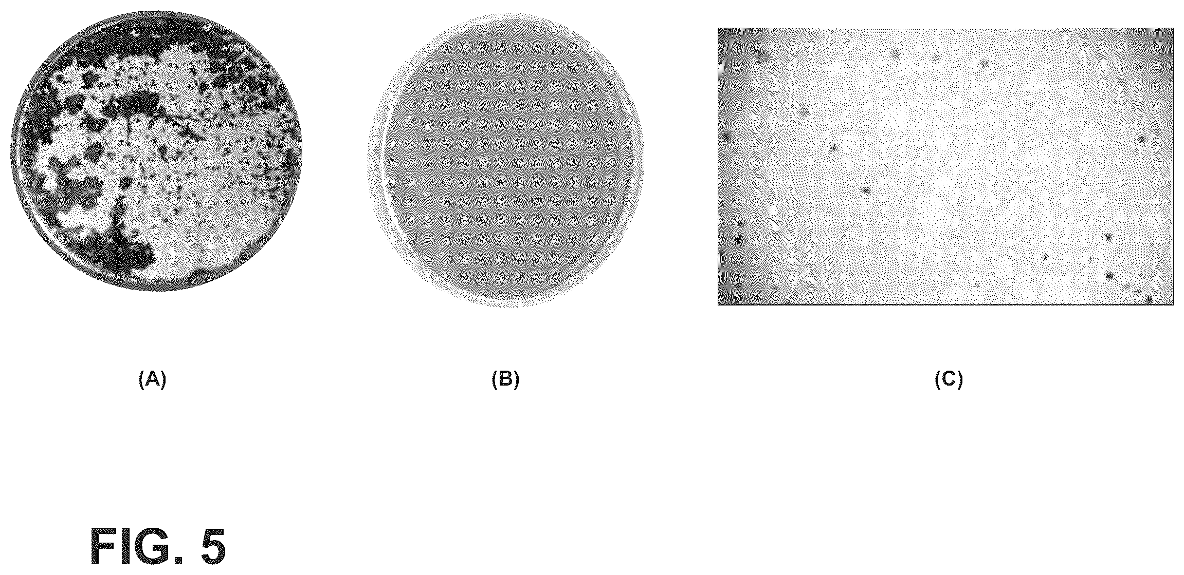Patent US12345851 Figure 5 – Corrosion-resistant coatings for IR-transmitting substrates
