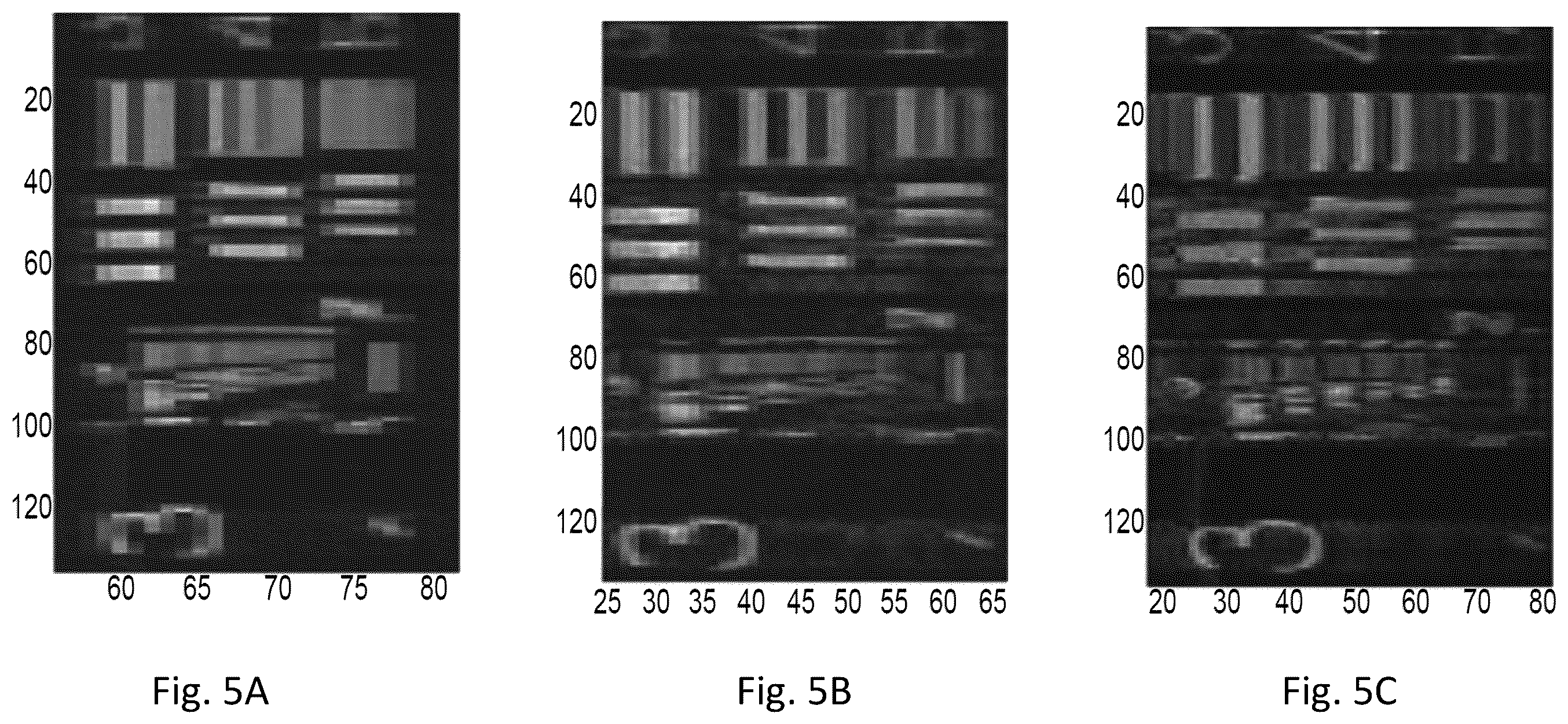 Patent US12345866 Figure 9 – Systems and methods of single-shot spatial frequency modulation imaging