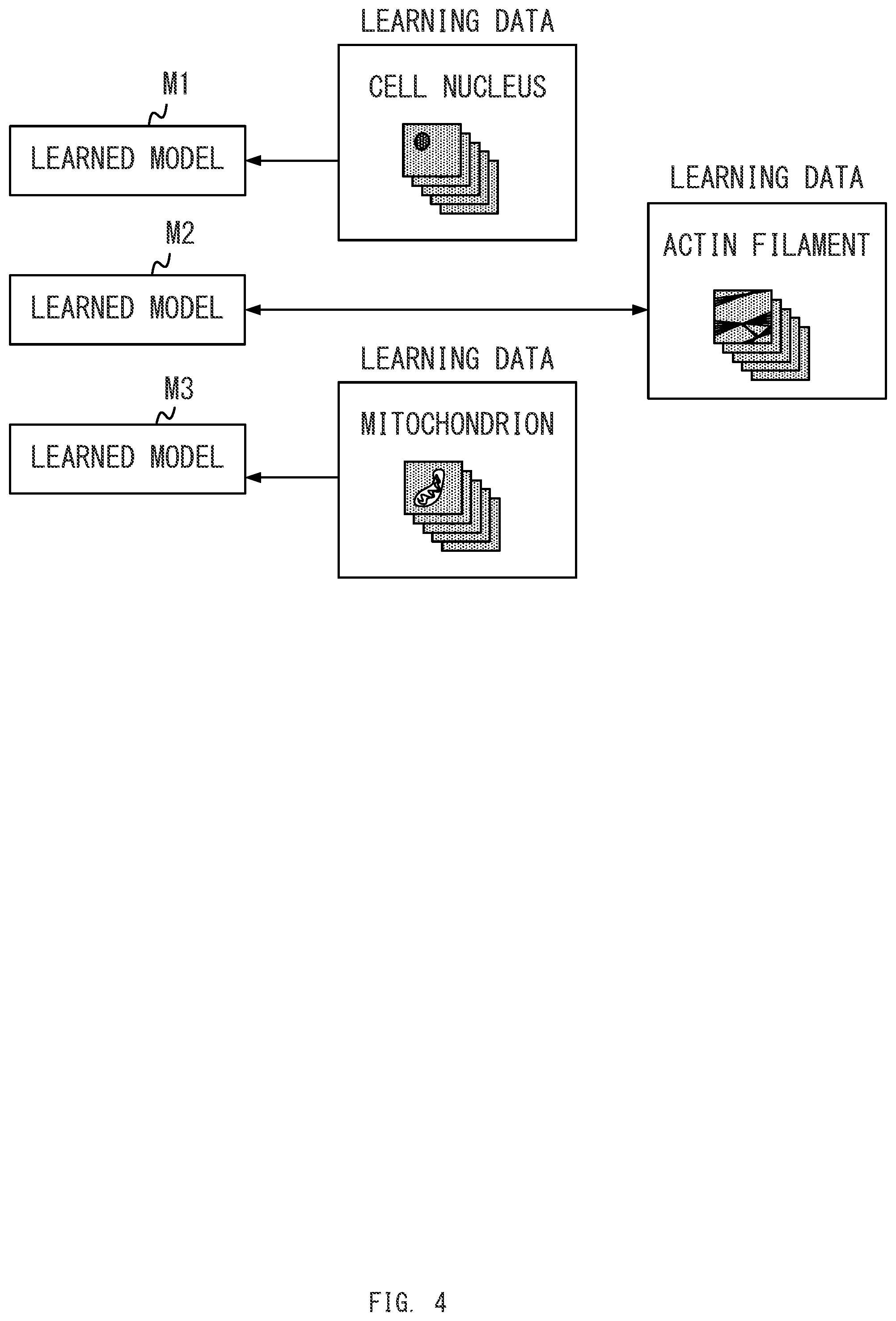 Patent US12345870 Figure 4 – Image processing system selecting learned model based on setting information of a microscope system, and image processing method and computer-readable medium