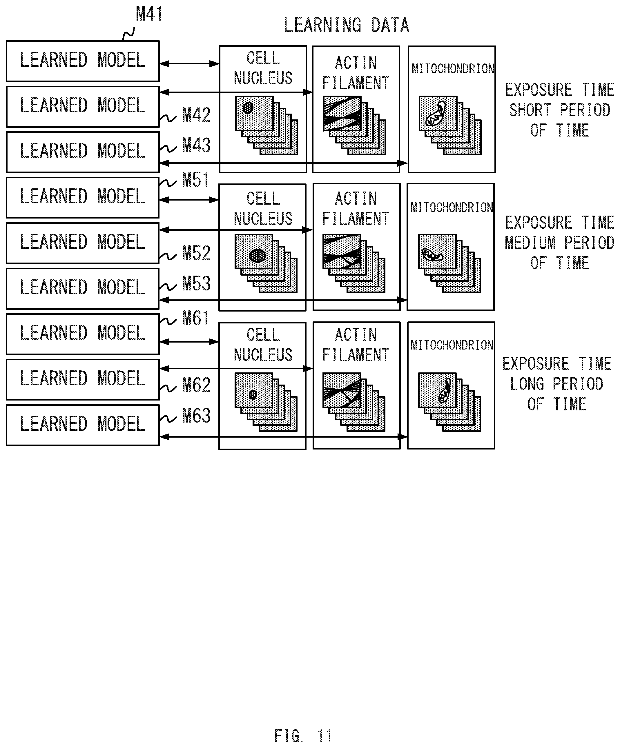 Patent US12345870 Figure 11 – Image processing system selecting learned model based on setting information of a microscope system, and image processing method and computer-readable medium