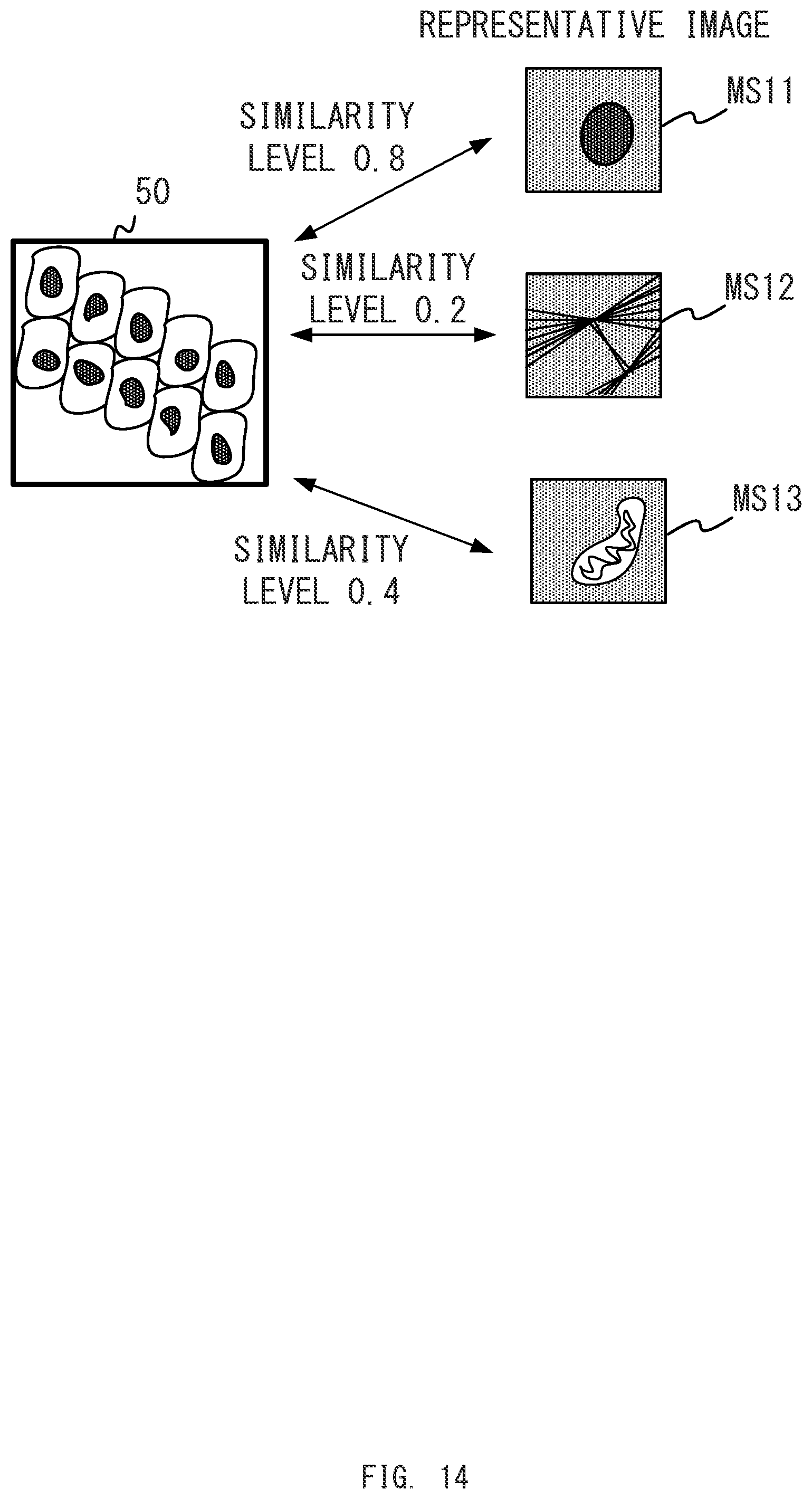 Patent US12345870 Figure 14 – Image processing system selecting learned model based on setting information of a microscope system, and image processing method and computer-readable medium