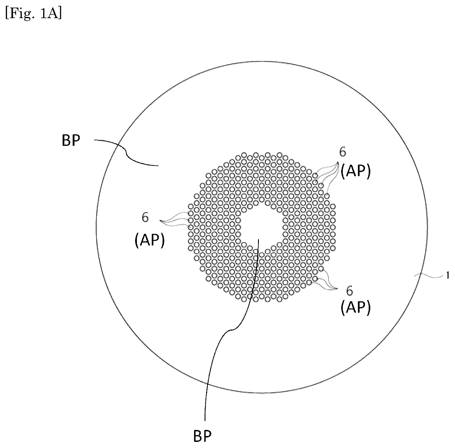 Patent US12345959 Figure 1 – Ophthalmological lens