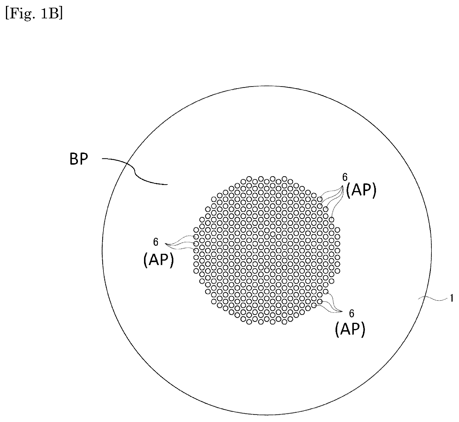 Patent US12345959 Figure 2 – Ophthalmological lens