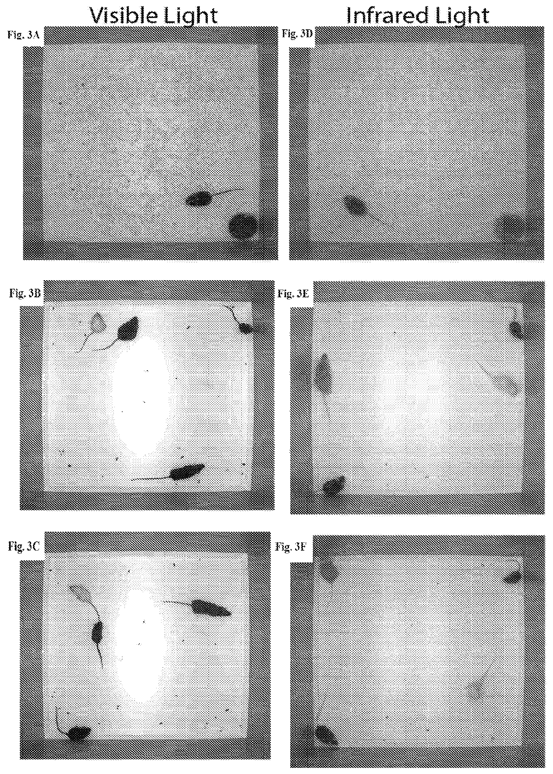Patent US12347112 Figure 3 – Long-term and continuous animal behavioral monitoring