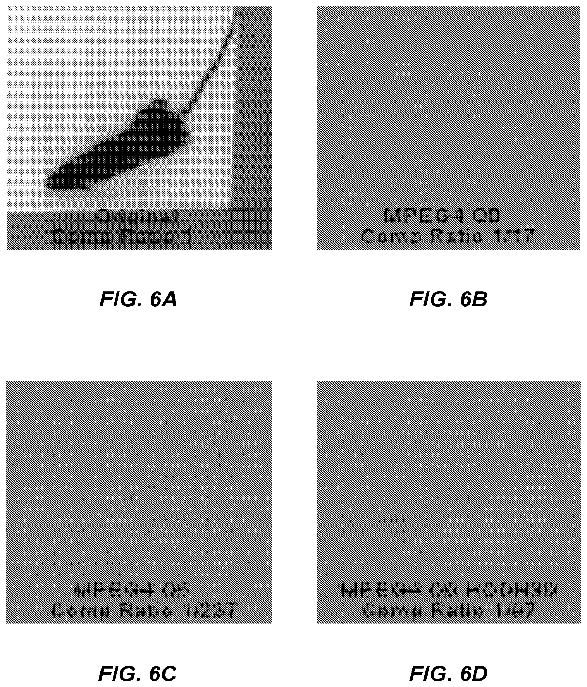 Patent US12347112 Figure 6 – Long-term and continuous animal behavioral monitoring