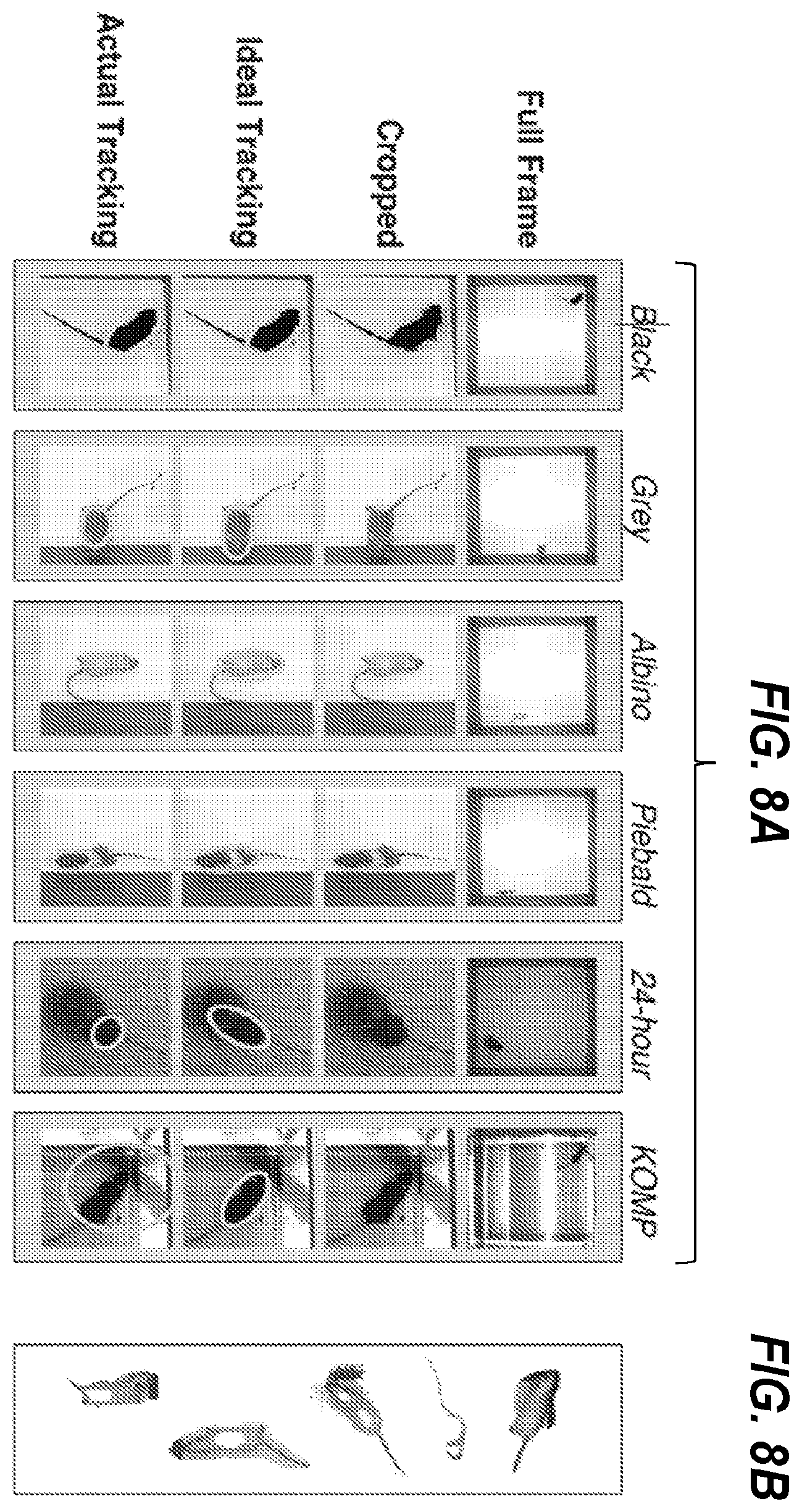 Patent US12347112 Figure 8 – Long-term and continuous animal behavioral monitoring