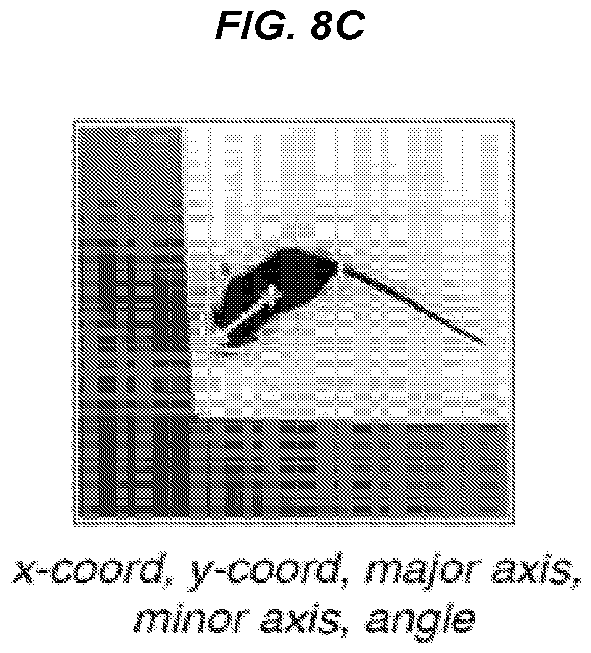 Patent US12347112 Figure 9 – Long-term and continuous animal behavioral monitoring