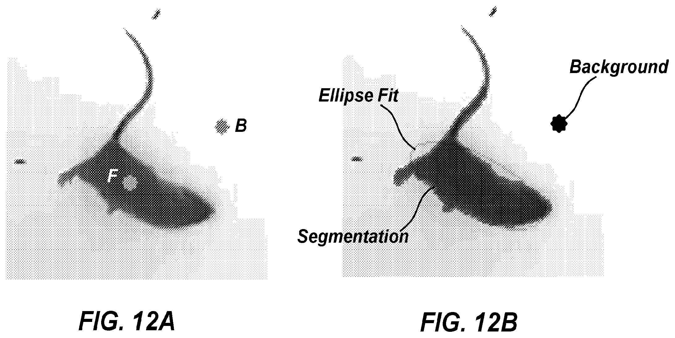 Patent US12347112 Figure 13 – Long-term and continuous animal behavioral monitoring