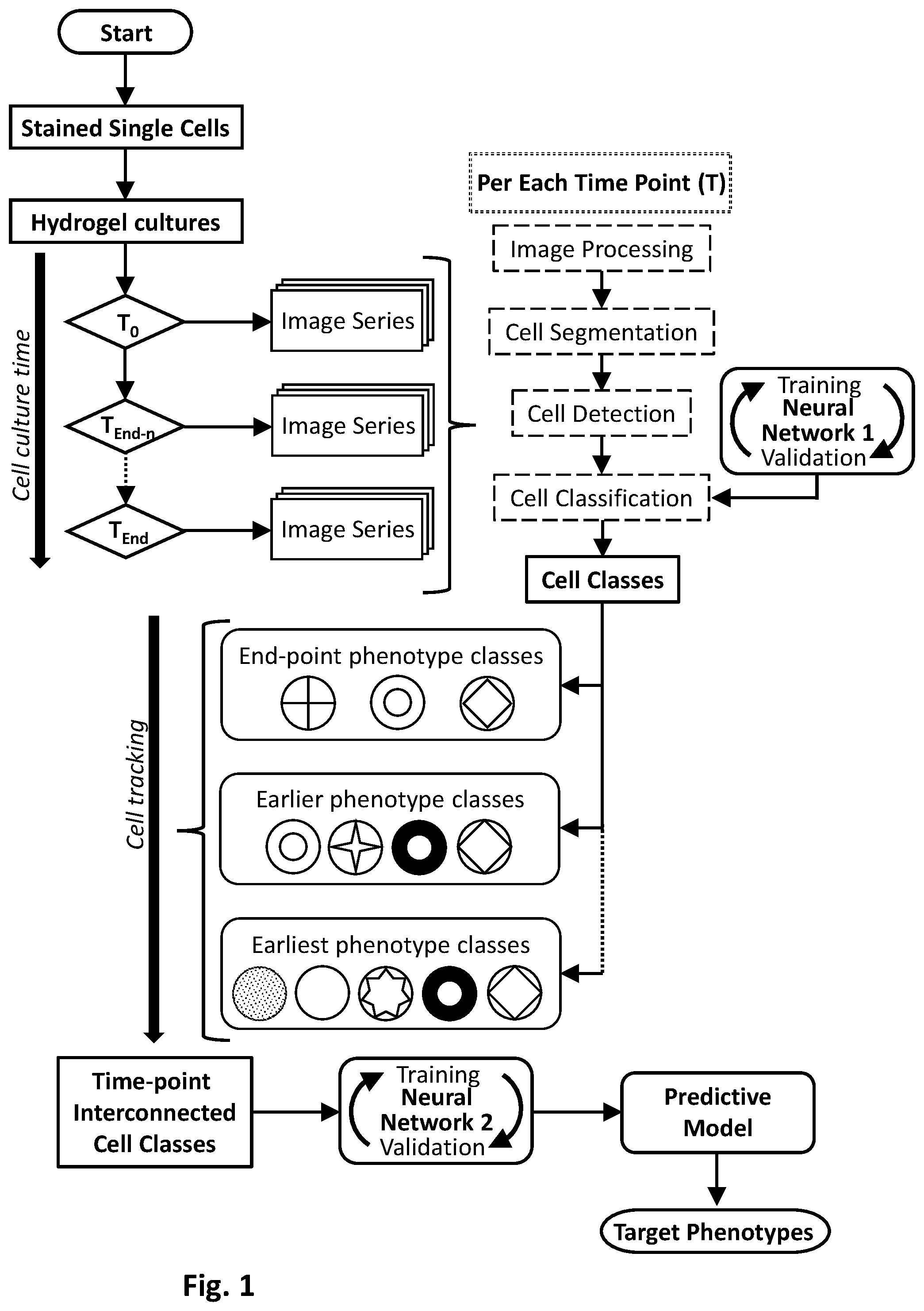 Patent US12347214 Figure 1 – Microspore culture predictive model generation and use