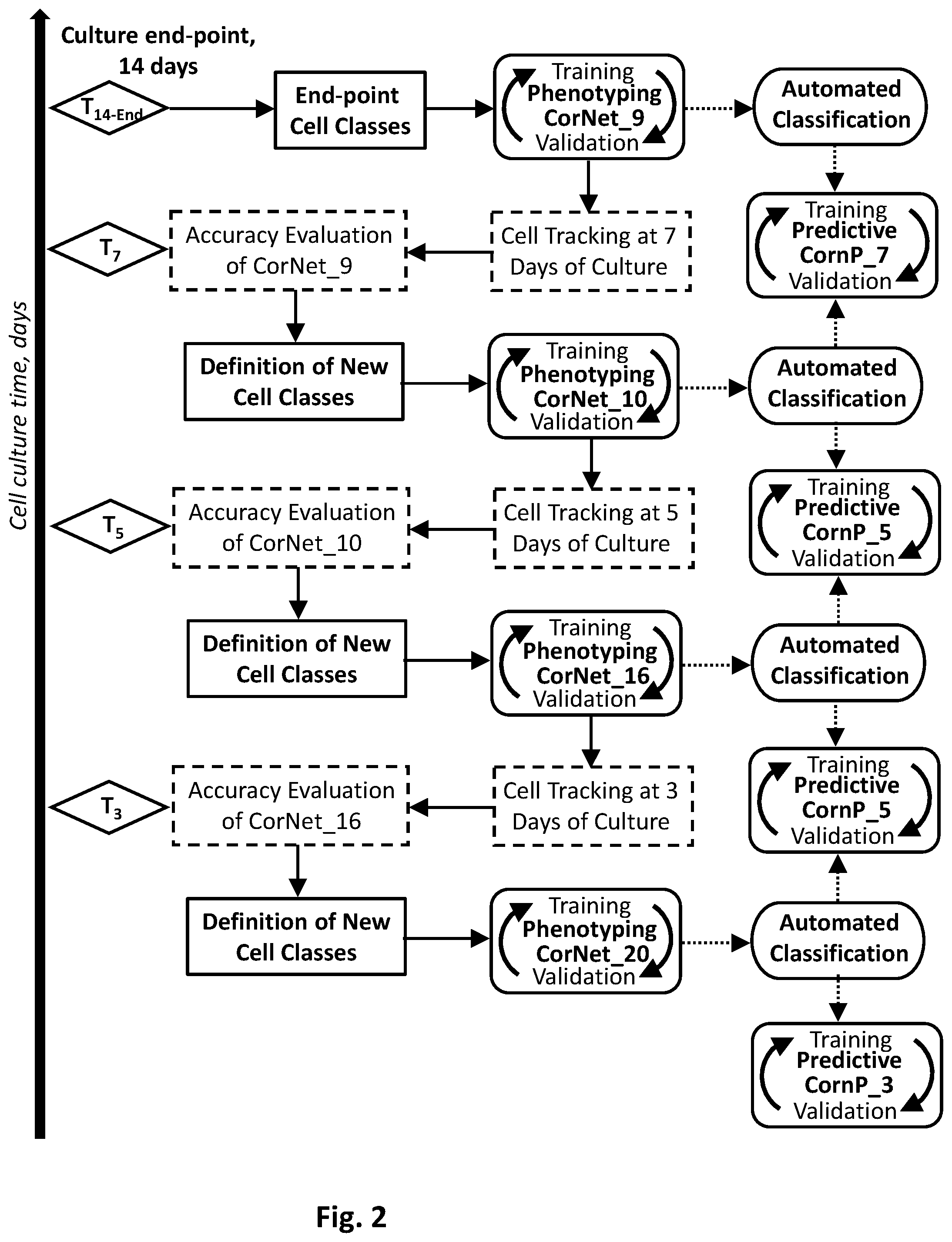 Patent US12347214 Figure 2 – Microspore culture predictive model generation and use
