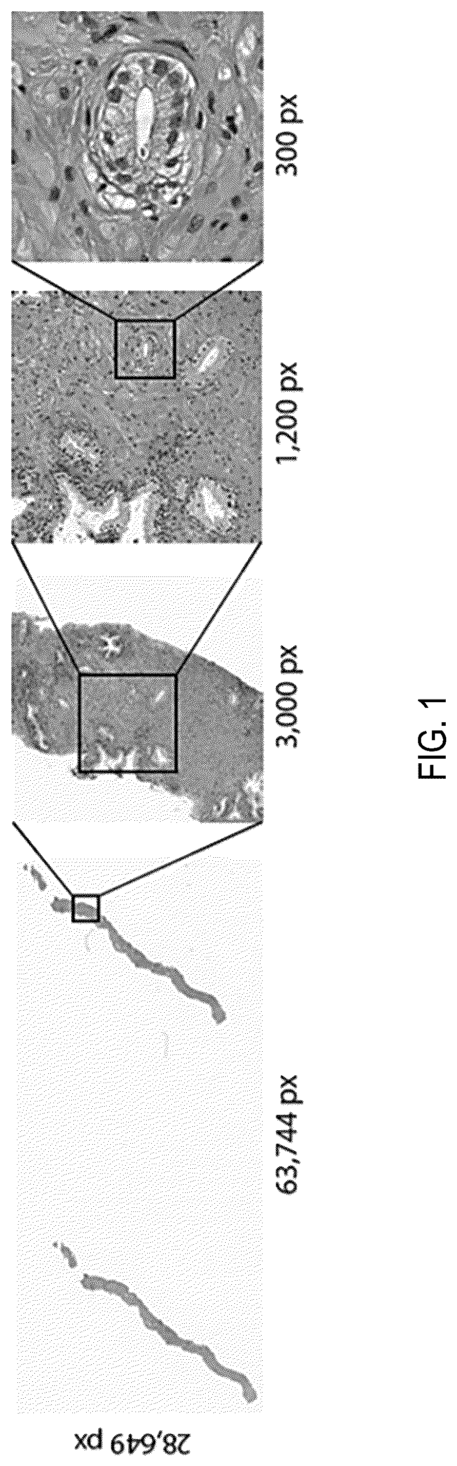 Patent US12347569 Figure 1 – Systems and methods for multiple instance learning for classification and localization in biomedical imaging