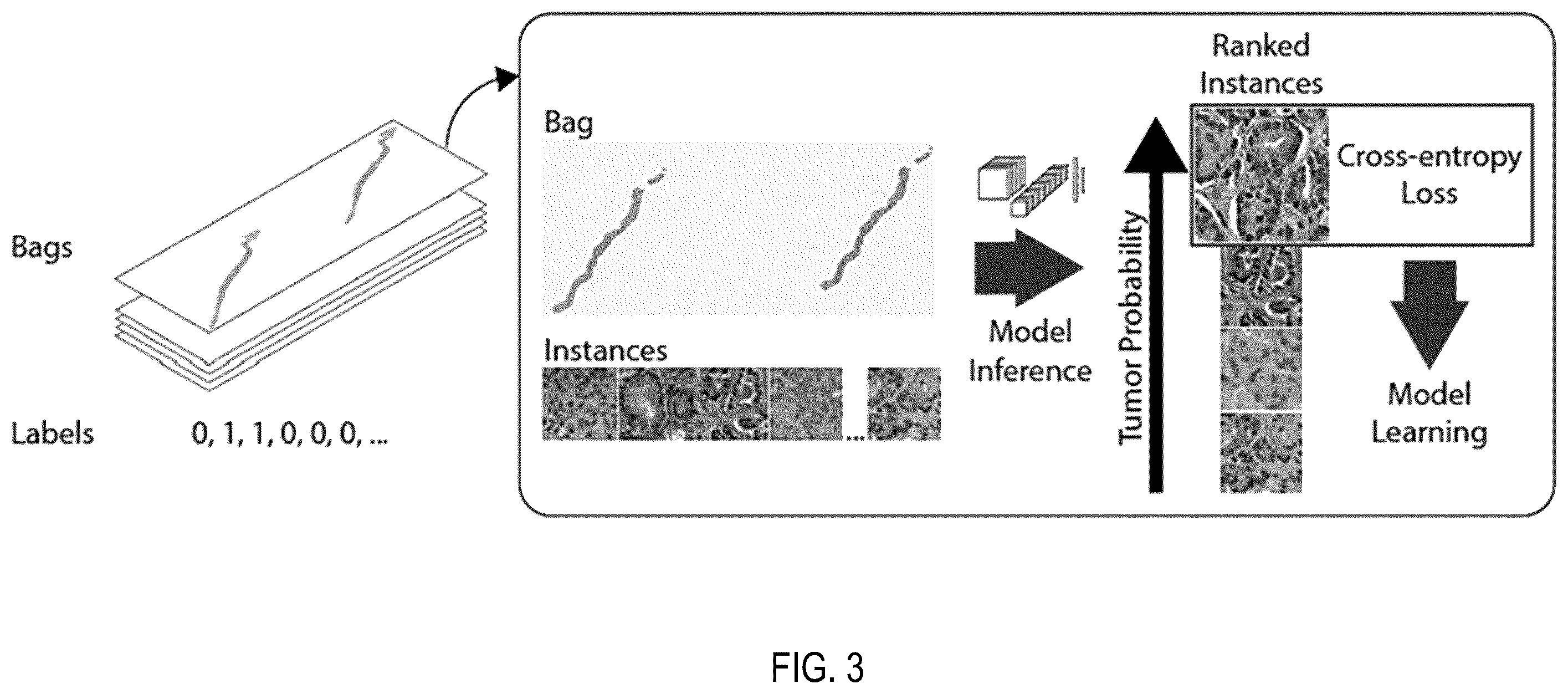 Patent US12347569 Figure 3 – Systems and methods for multiple instance learning for classification and localization in biomedical imaging