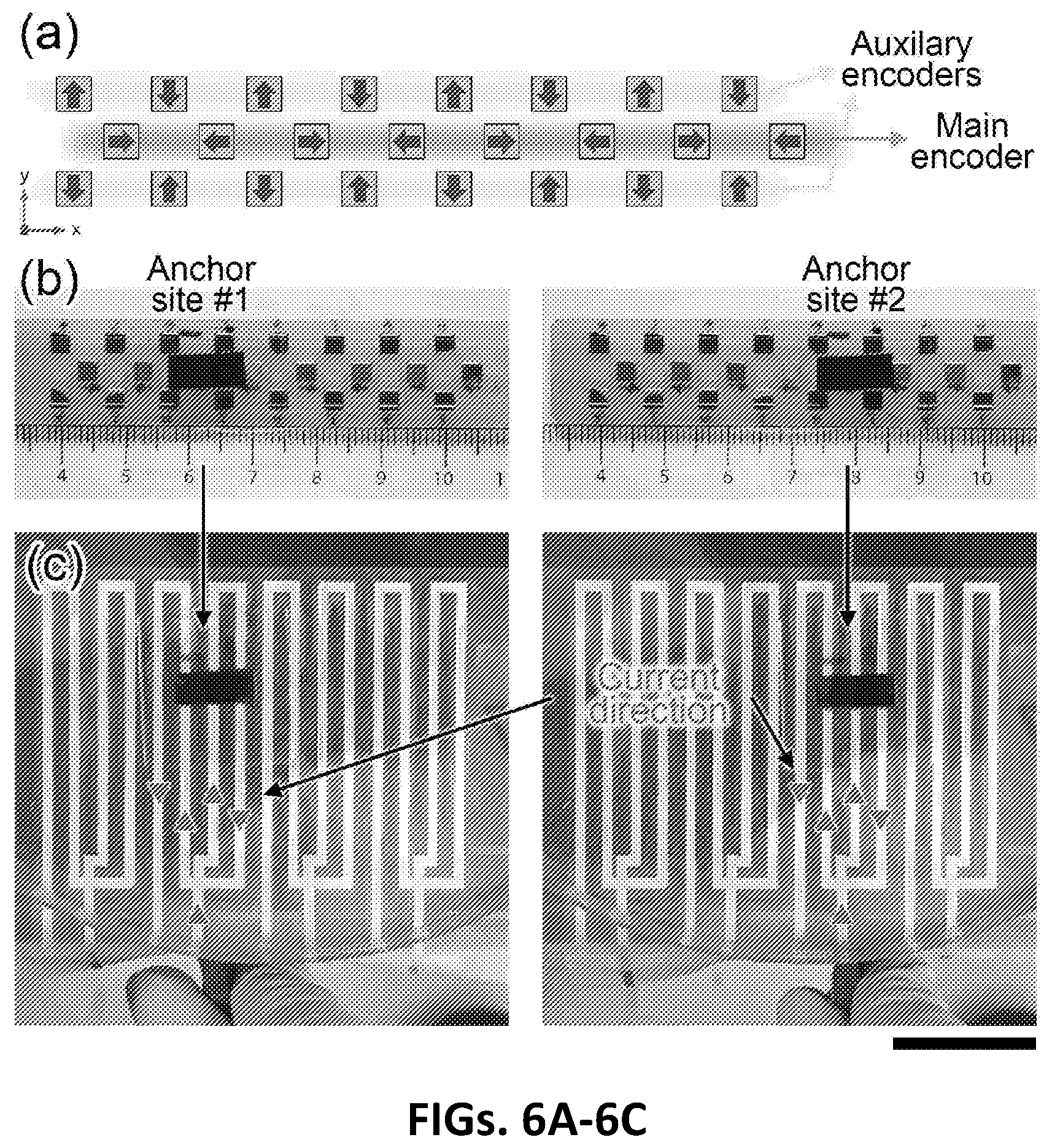Patent US12347614 Figure 6 – Electromagnetic systems for the selective manipulation of magnetically-barcoded materials