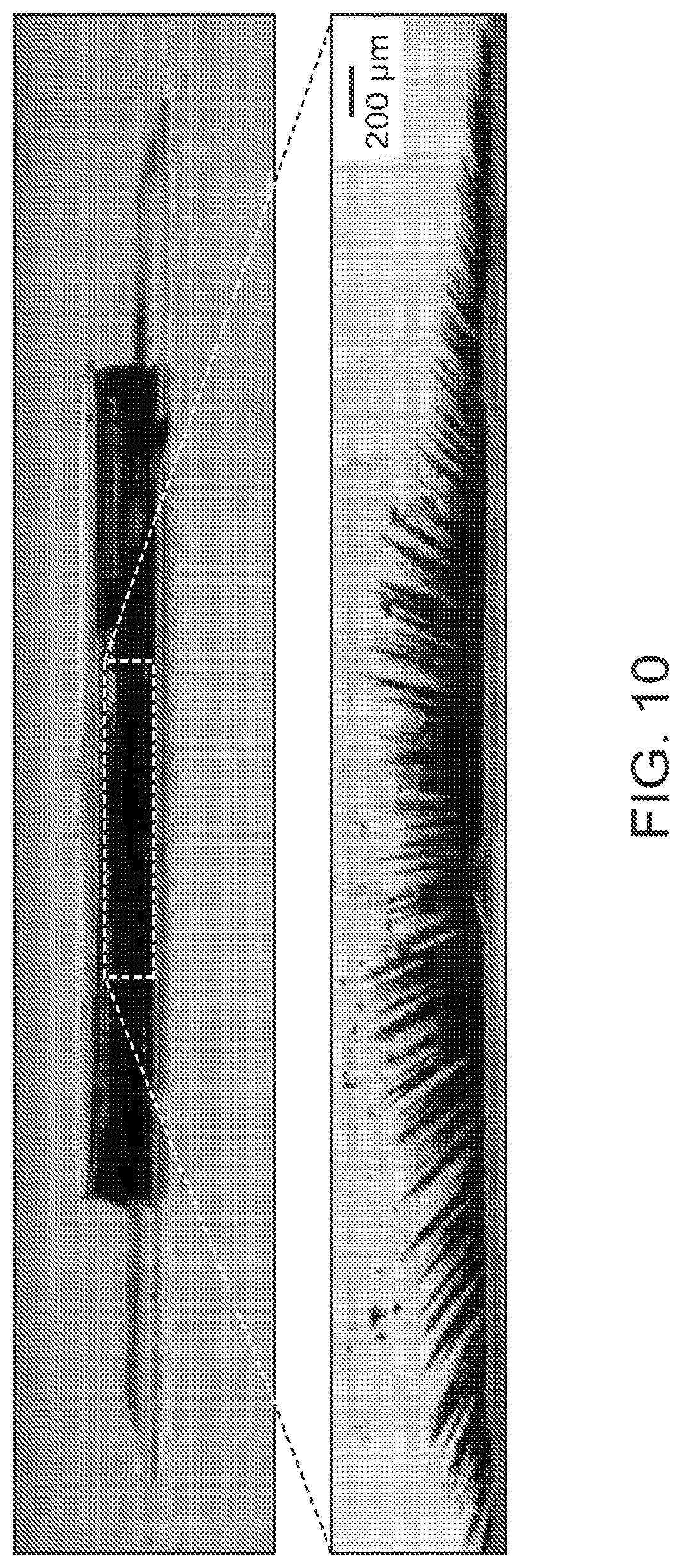 Patent US12347614 Figure 10 – Electromagnetic systems for the selective manipulation of magnetically-barcoded materials
