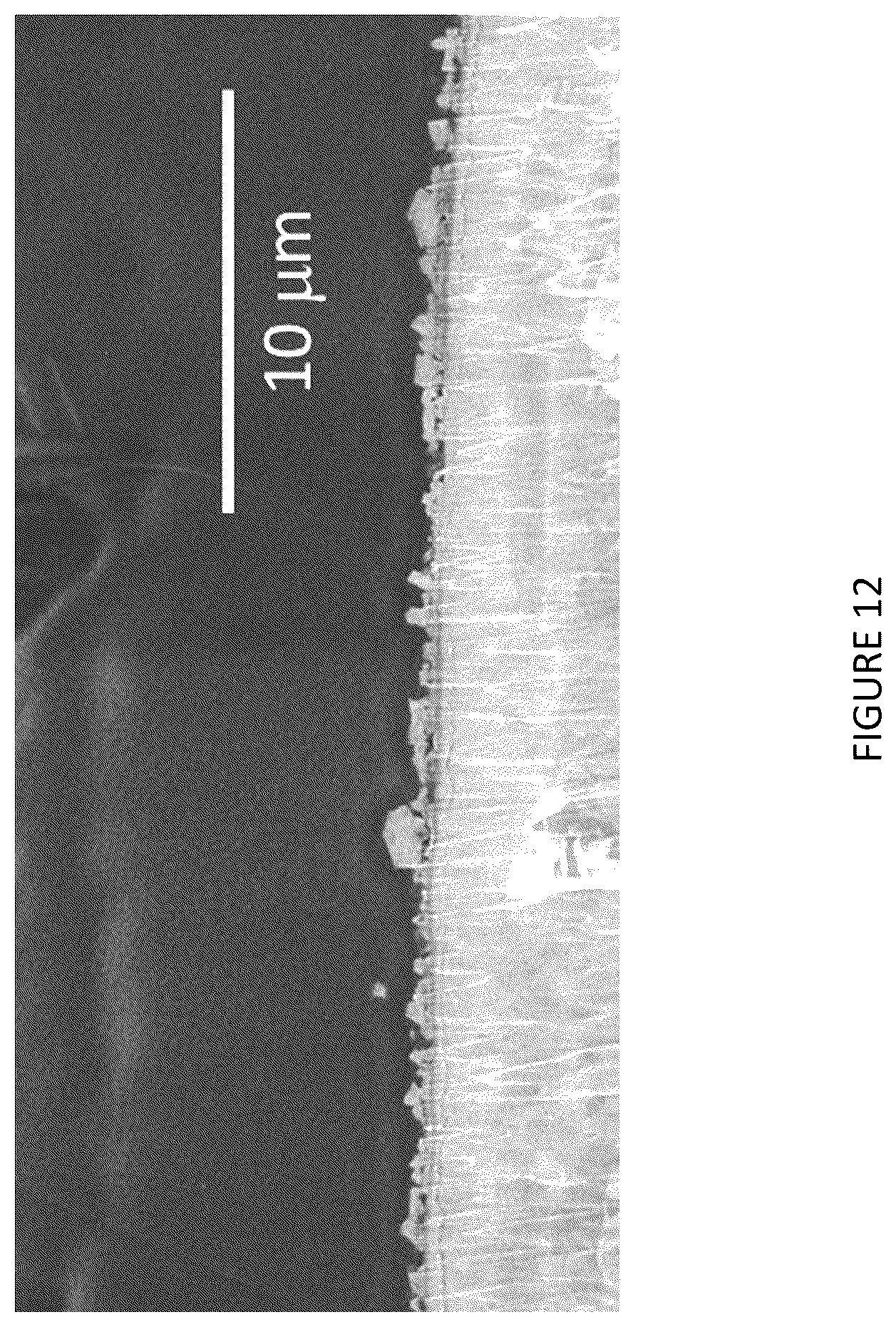 Patent US12347852 Figure 12 – Zinc alloy electrodes for lithium batteries