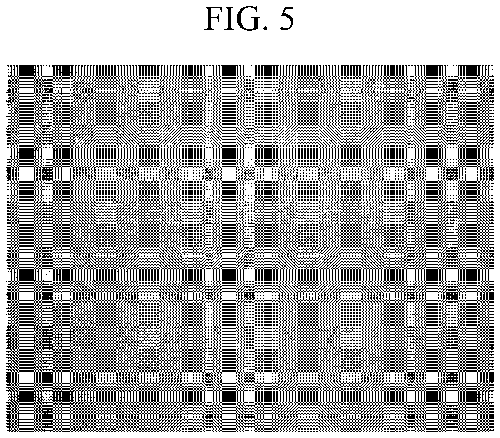 Patent US12347905 Figure 5 – Membrane-electrode assembly and method for manufacturing same