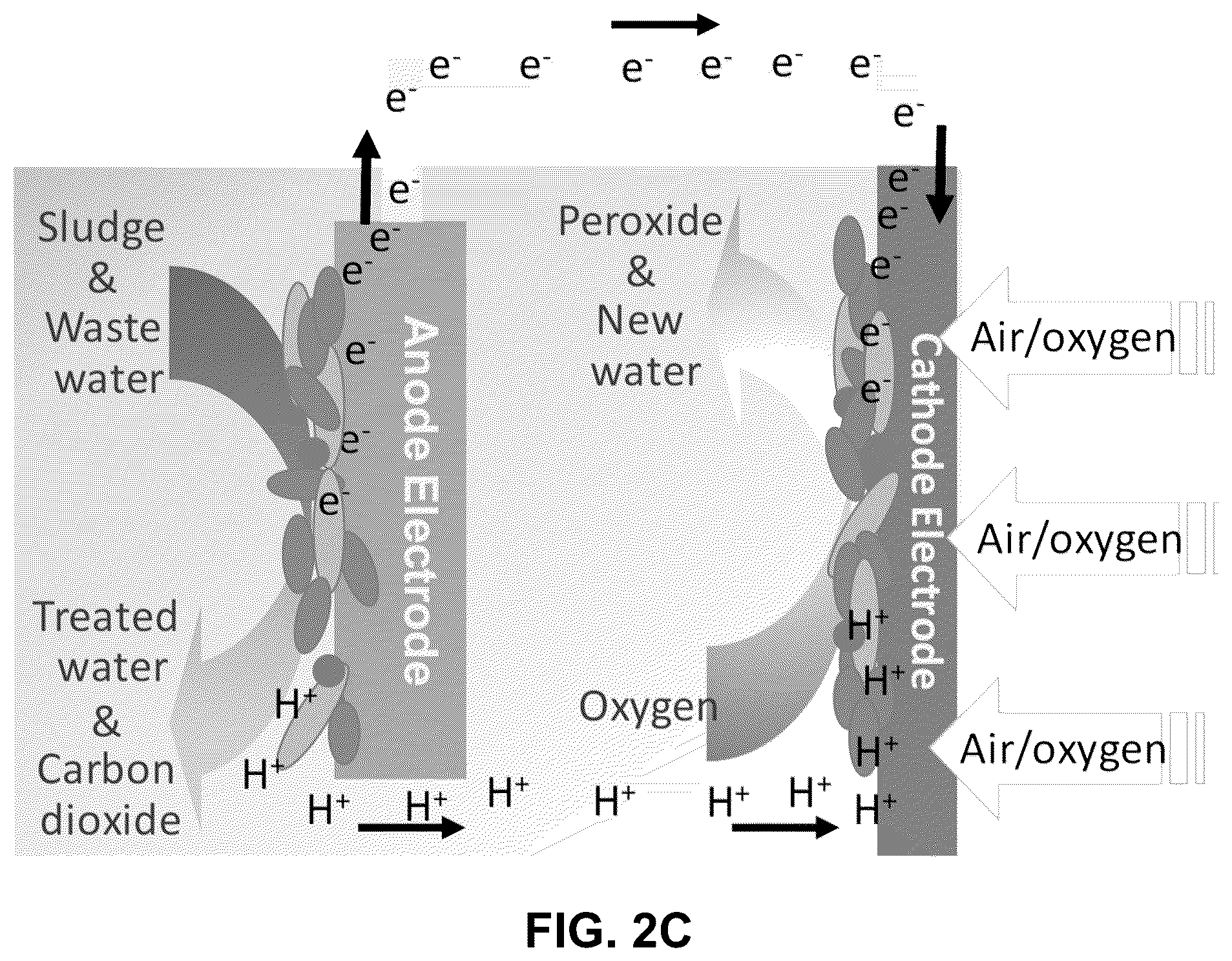 Patent US12347907 Figure 3 – Branched anodes for microbial fuel cells