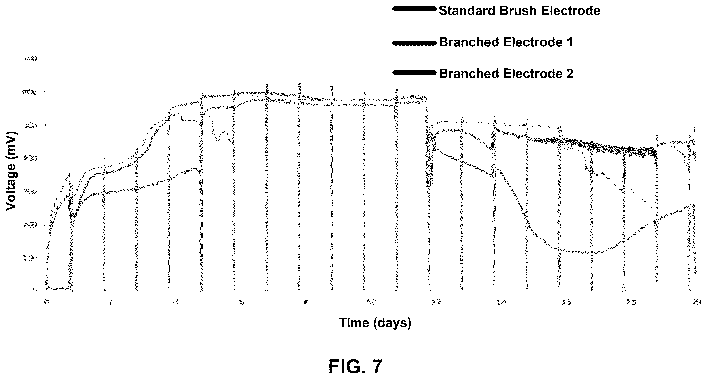 Patent US12347907 Figure 13 – Branched anodes for microbial fuel cells