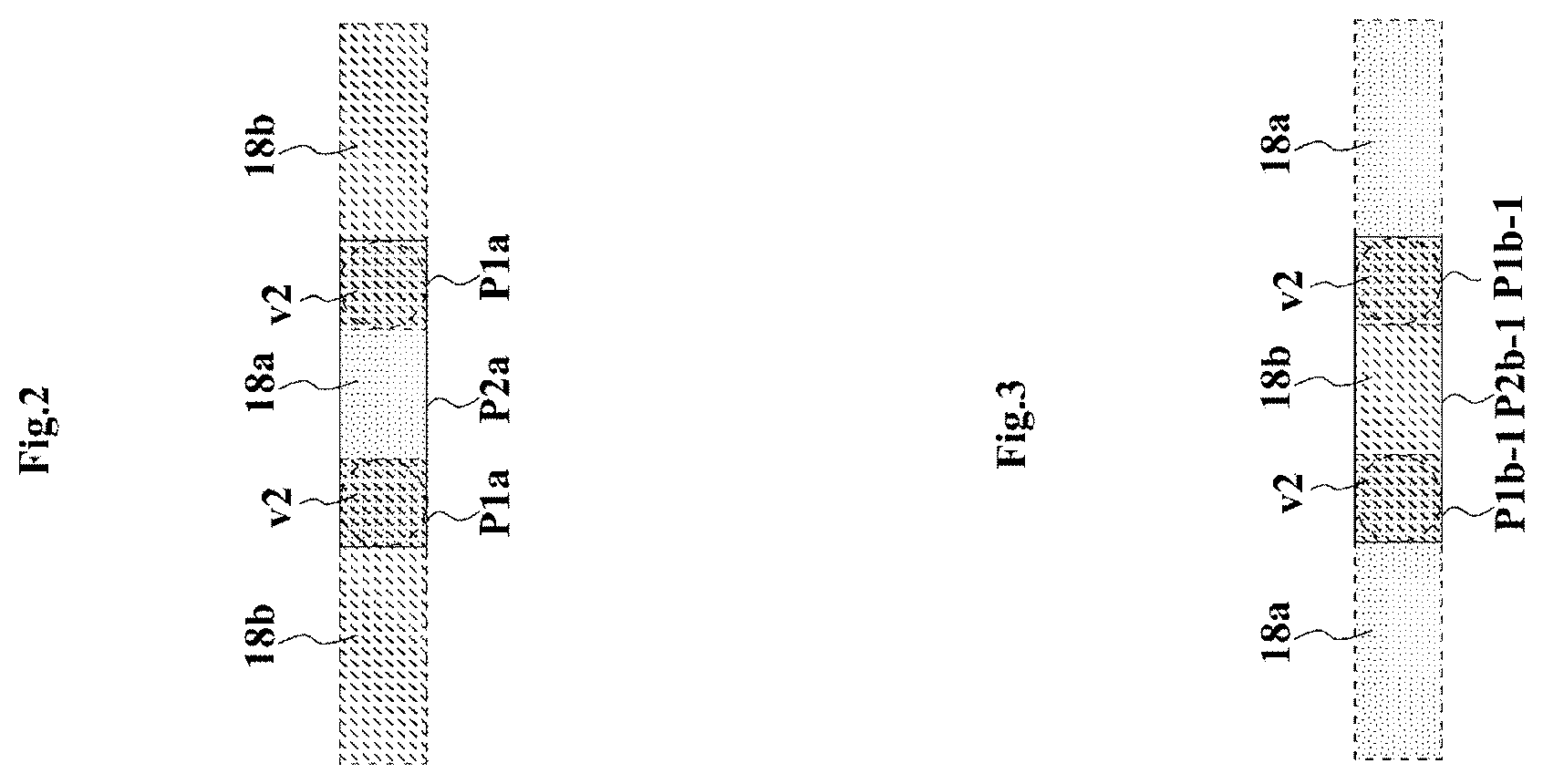 Patent US12347947 Figure 2 – Antenna element