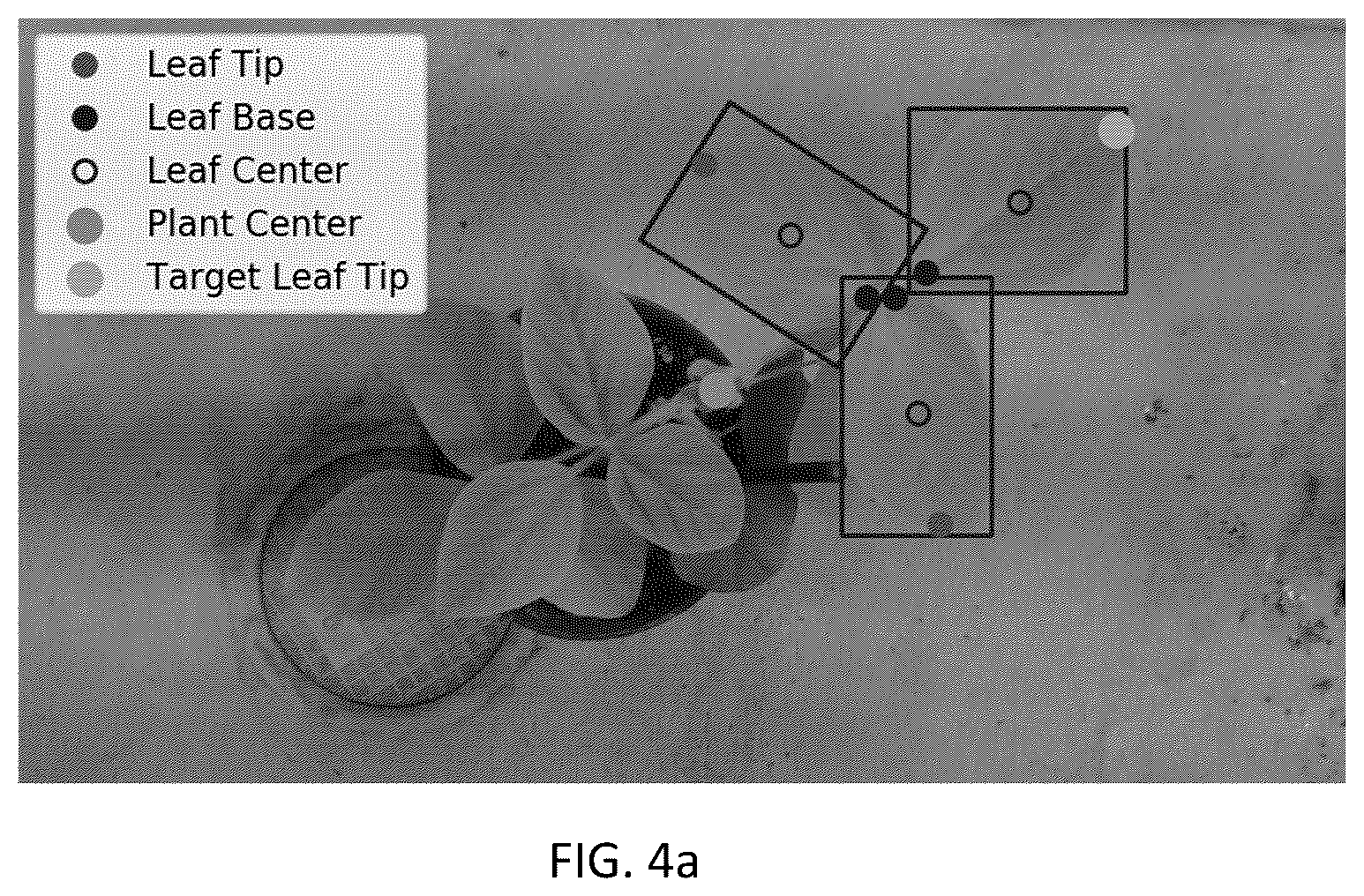 Patent US12348872 Figure 4 – Autonomous phenotype imaging system