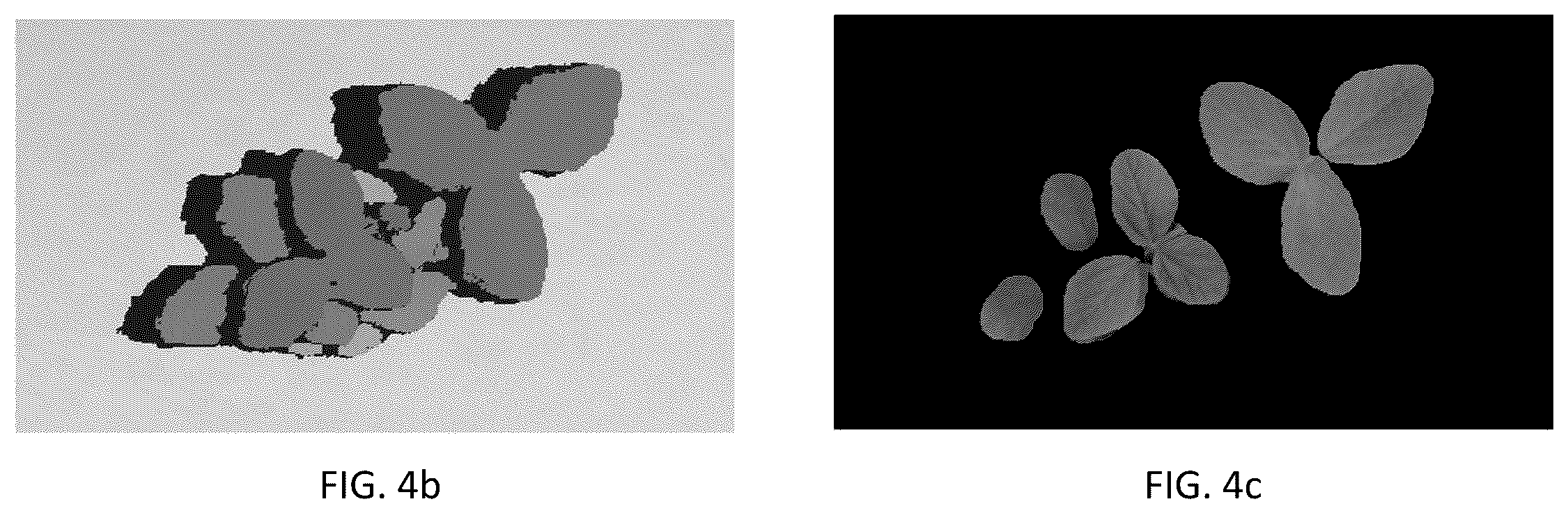 Patent US12348872 Figure 5 – Autonomous phenotype imaging system