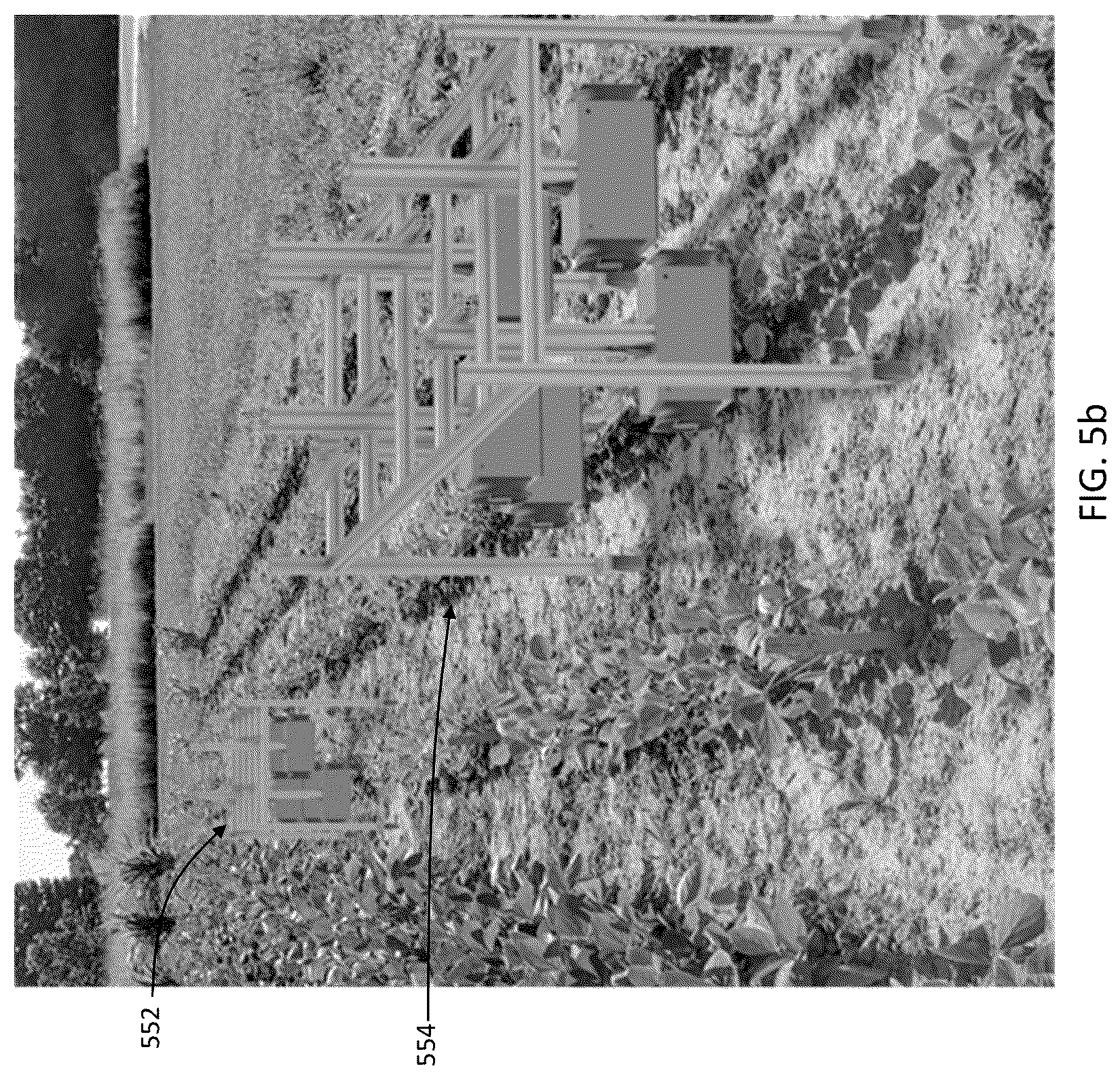 Patent US12348872 Figure 8 – Autonomous phenotype imaging system