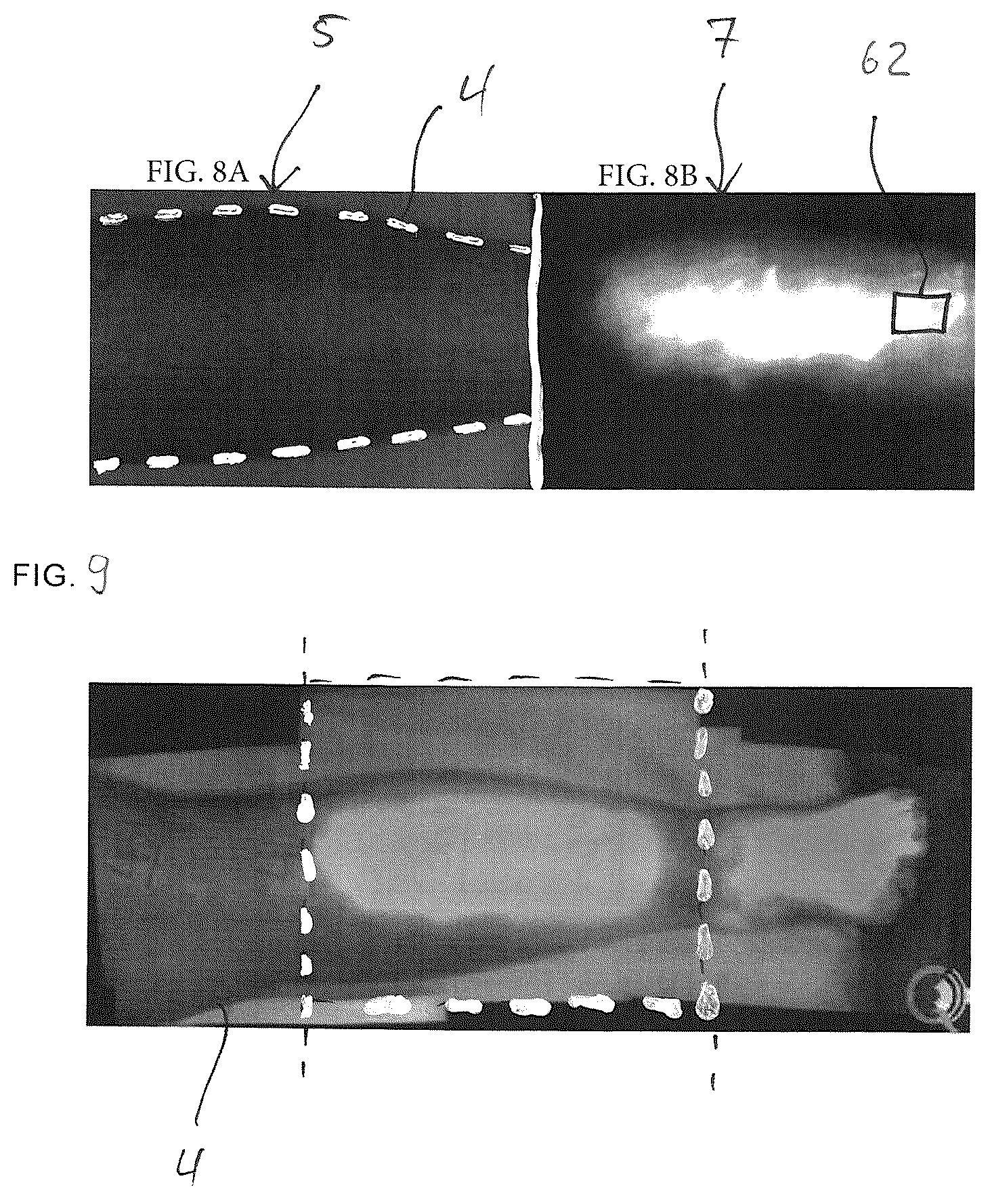 Patent US12350011 Figure 6 – Method of measuring a fluorescence signal, determining a peak frequency map and providing a risk prediction value, image capturing and processing device