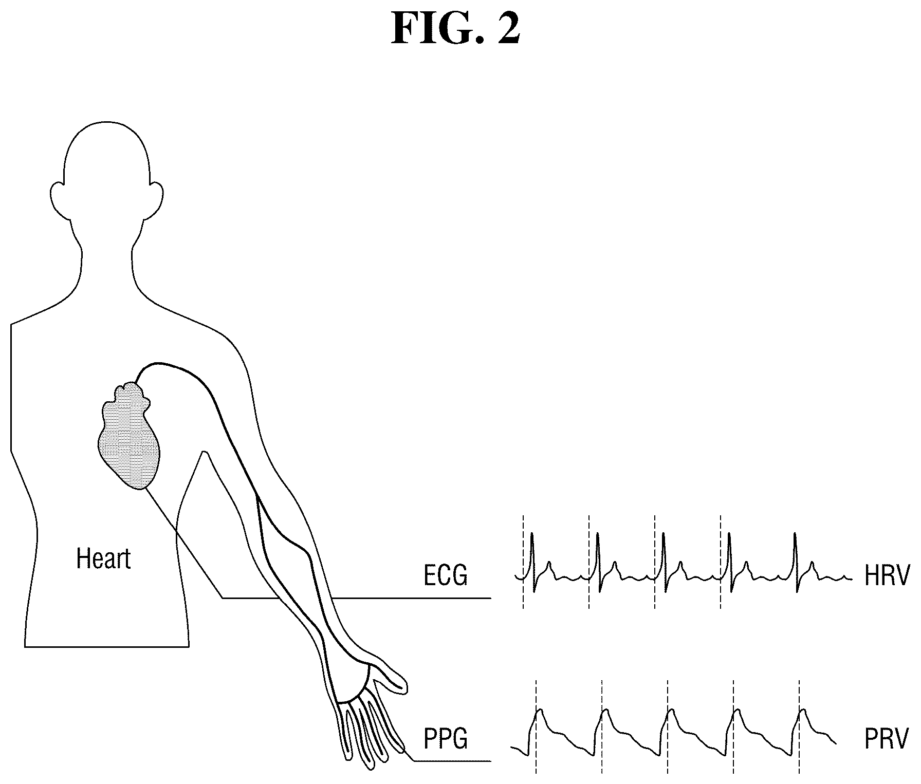 Patent US12350026 Figure 2 – Photoplethysmography sensor and semiconductor device including the same