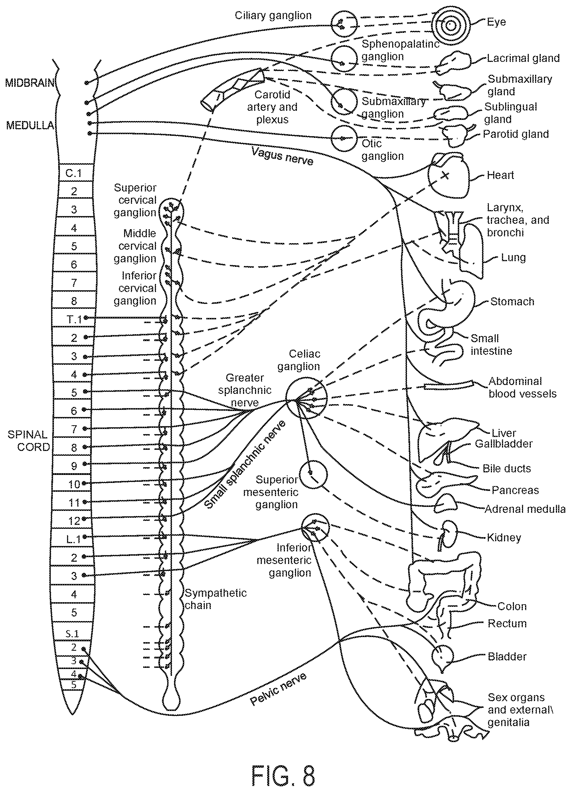 Patent US12350028 Figure 8 – Systems and methods for assessing efficacy of renal neuromodulation therapy