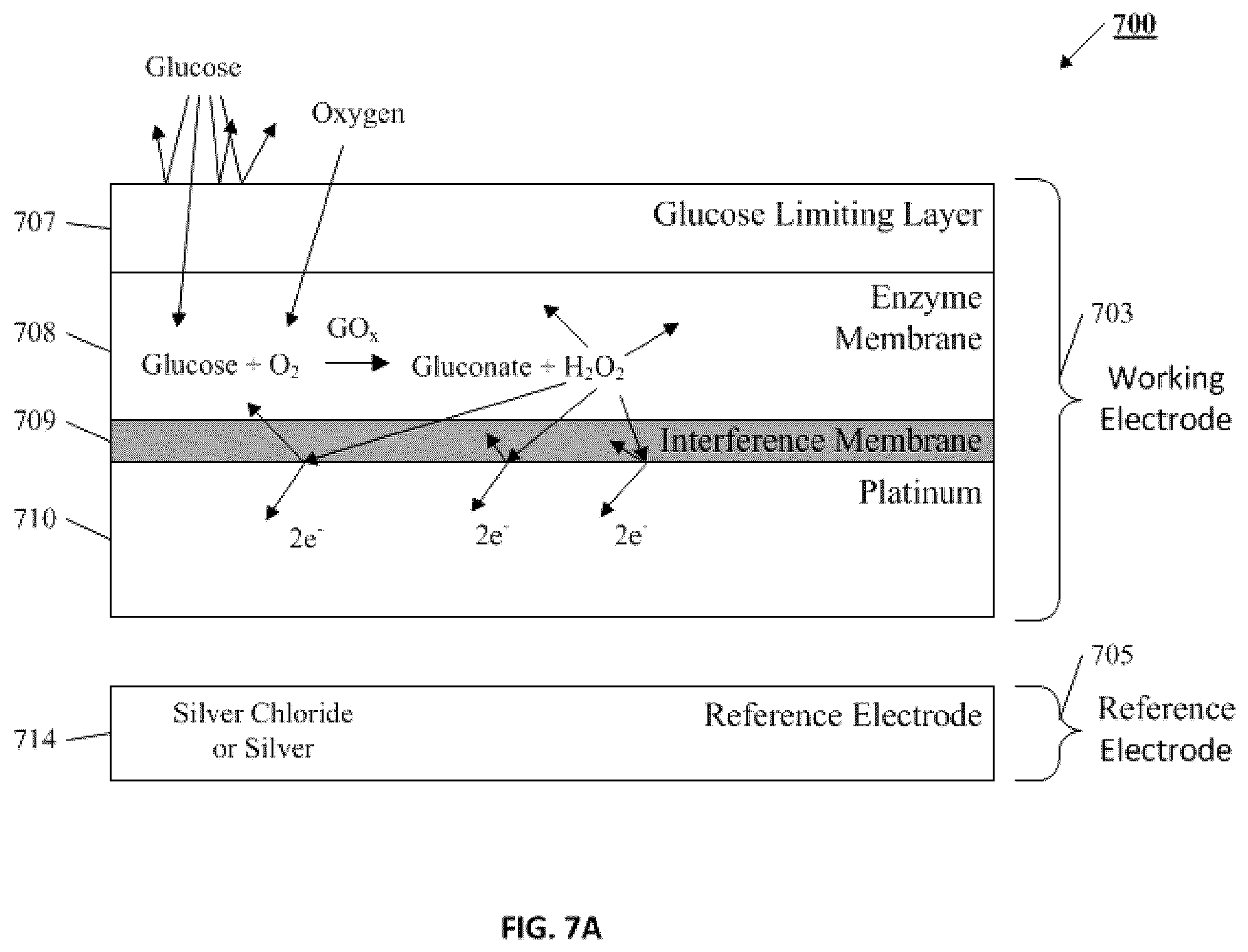 Patent US12350045 Figure 7 – Working electrode of a continuous biological sensor