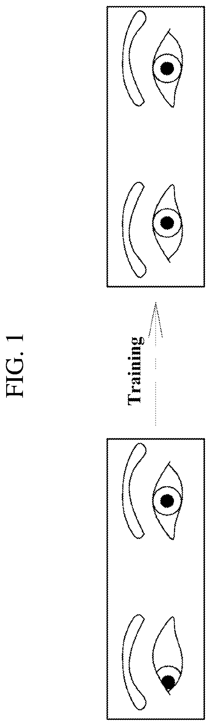 Patent US12350230 Figure 1 – Apparatus and method for providing virtual reality-based eye movement exercise and visual perception training