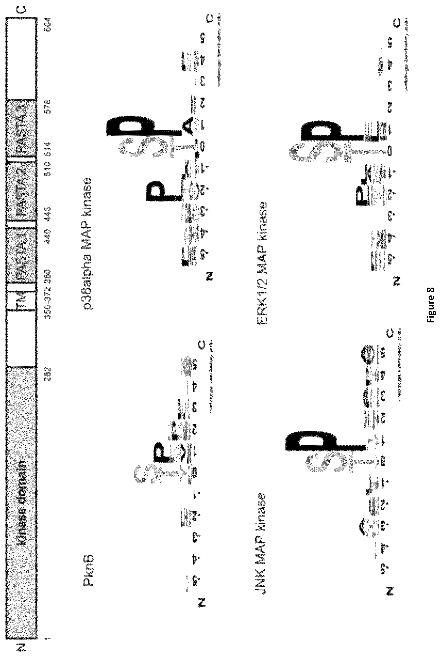 Patent US12350244 Figure 10 – MEK-inhibitor for the treatment of viral and bacterial infections